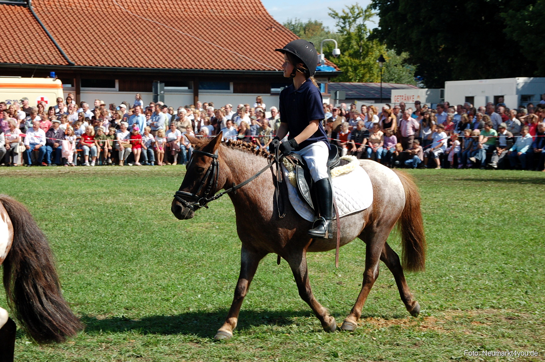 0183 Pferdeschau Neumarkt 180808