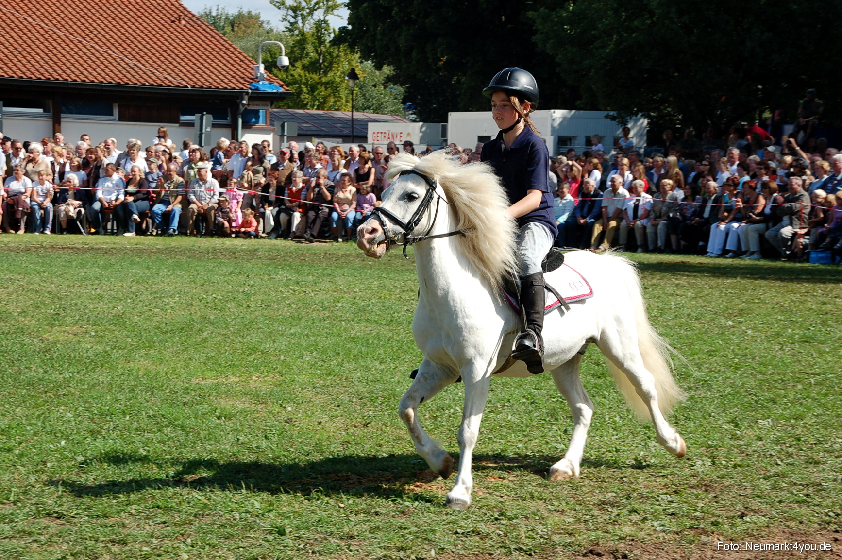 0184 Pferdeschau Neumarkt 180808
