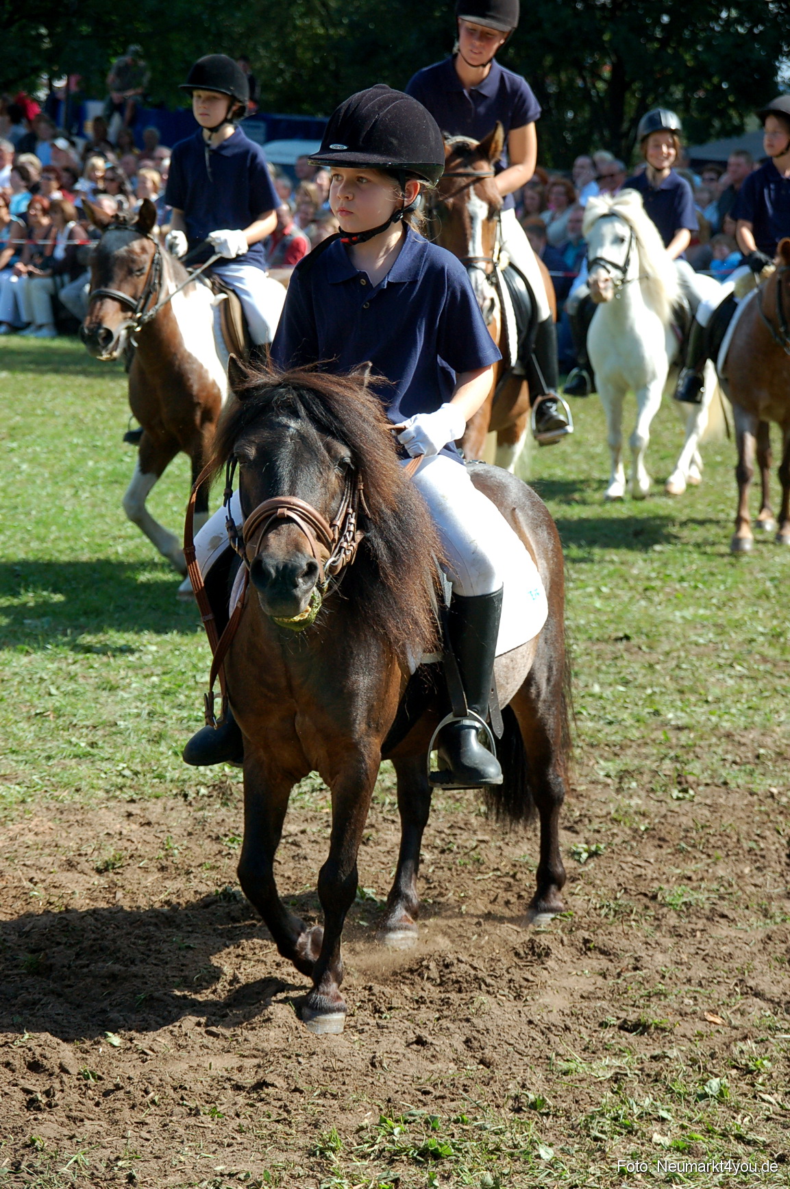 0185 Pferdeschau Neumarkt 180808