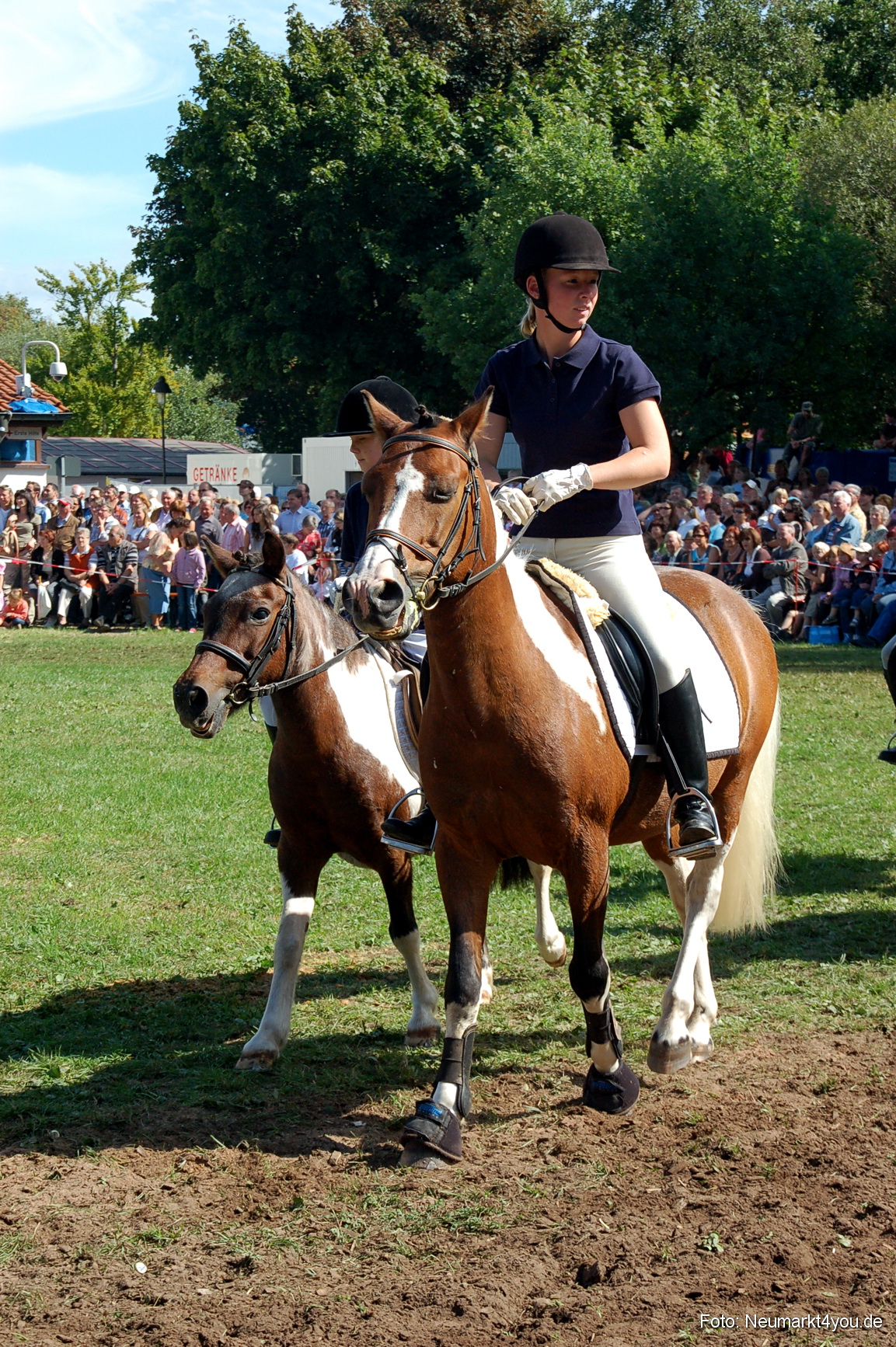 0186 Pferdeschau Neumarkt 180808
