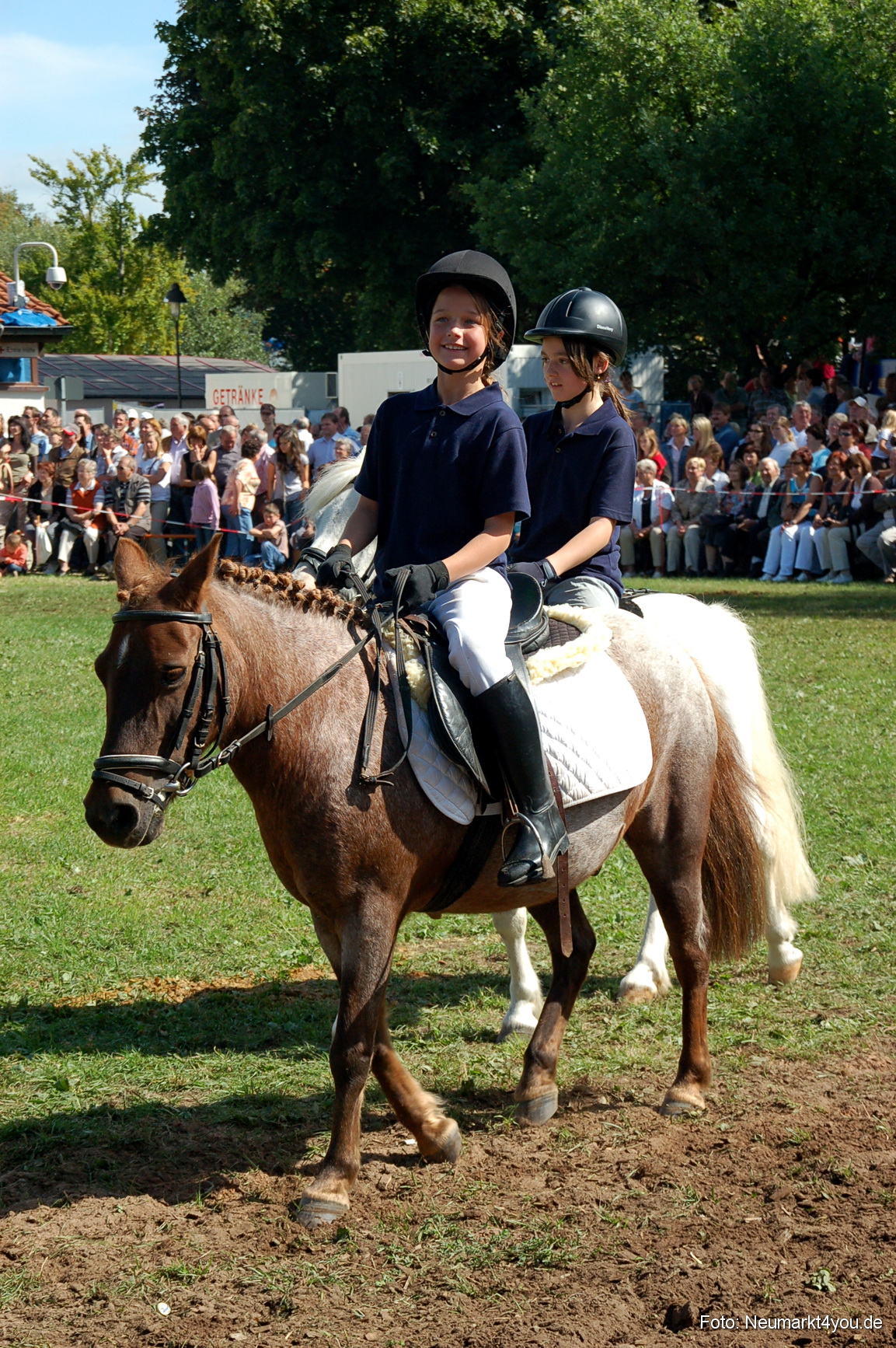 0187 Pferdeschau Neumarkt 180808