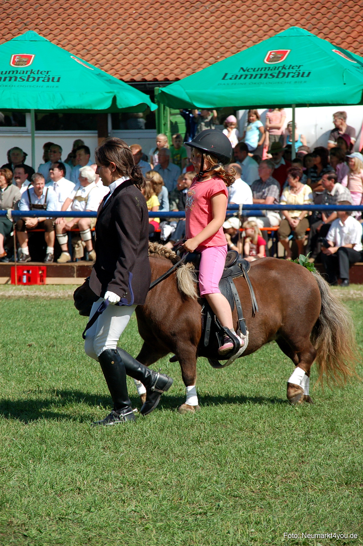 0188 Pferdeschau Neumarkt 180808