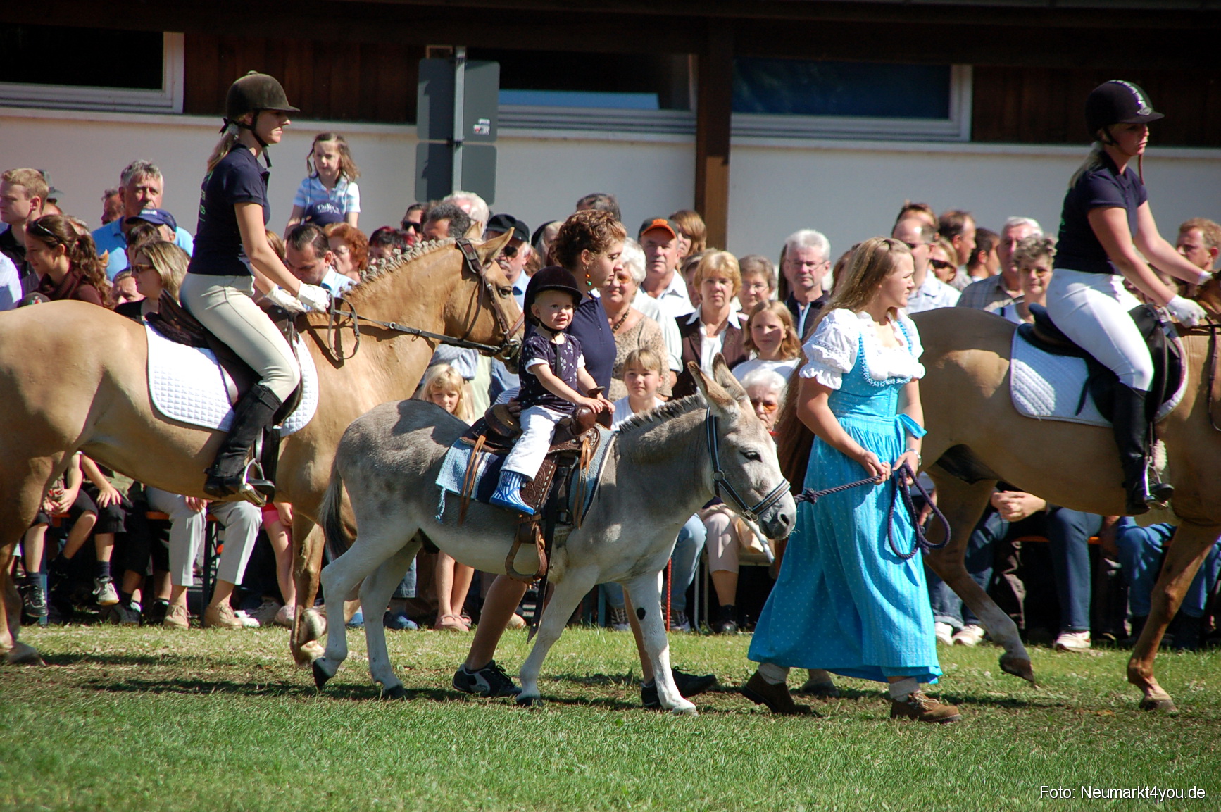 0189 Pferdeschau Neumarkt 180808