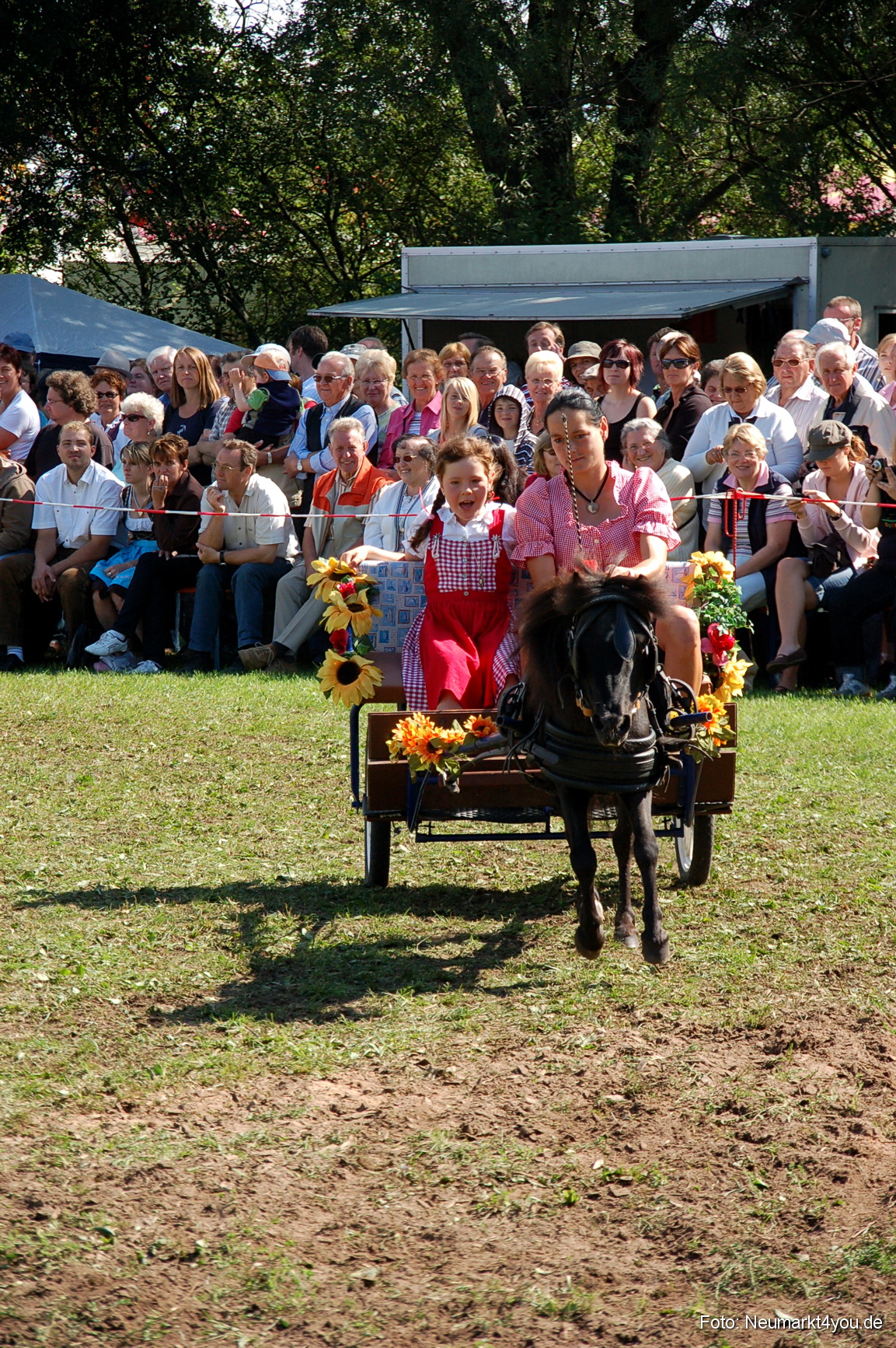 0191 Pferdeschau Neumarkt 180808
