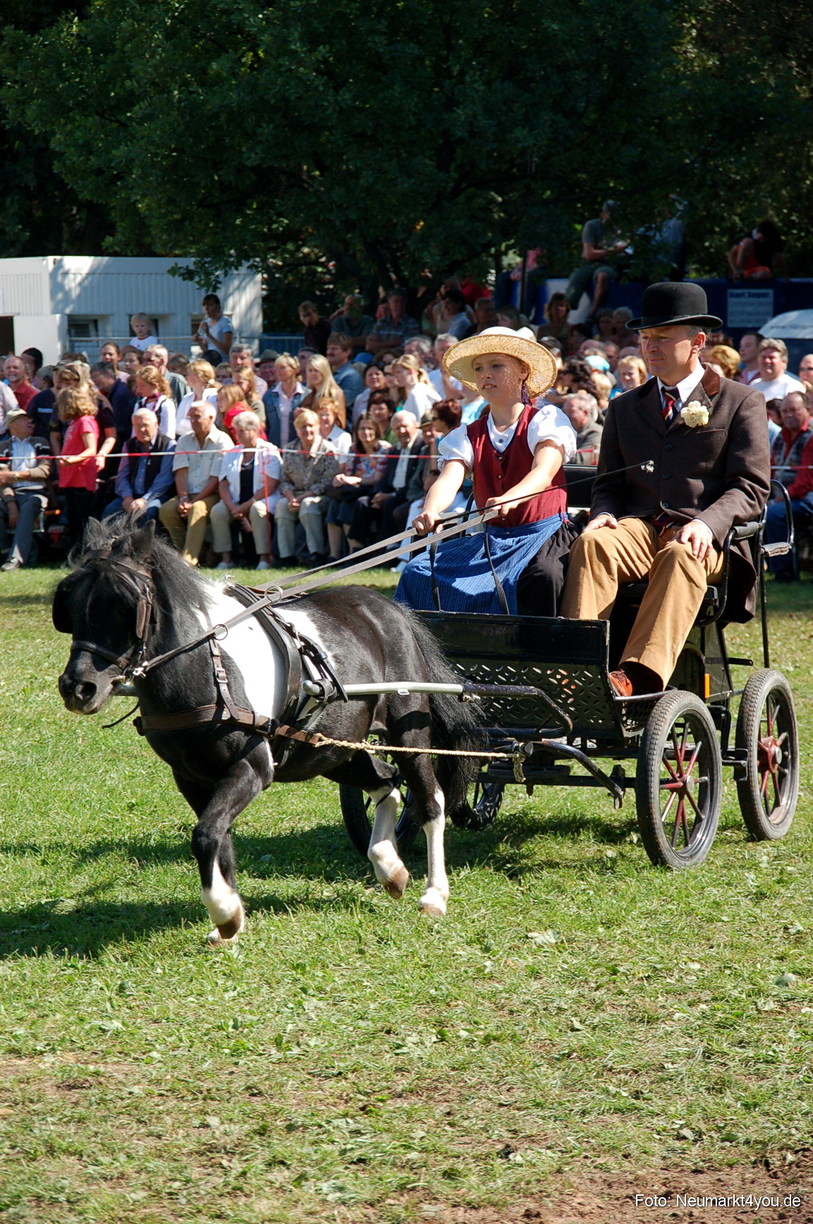0192 Pferdeschau Neumarkt 180808