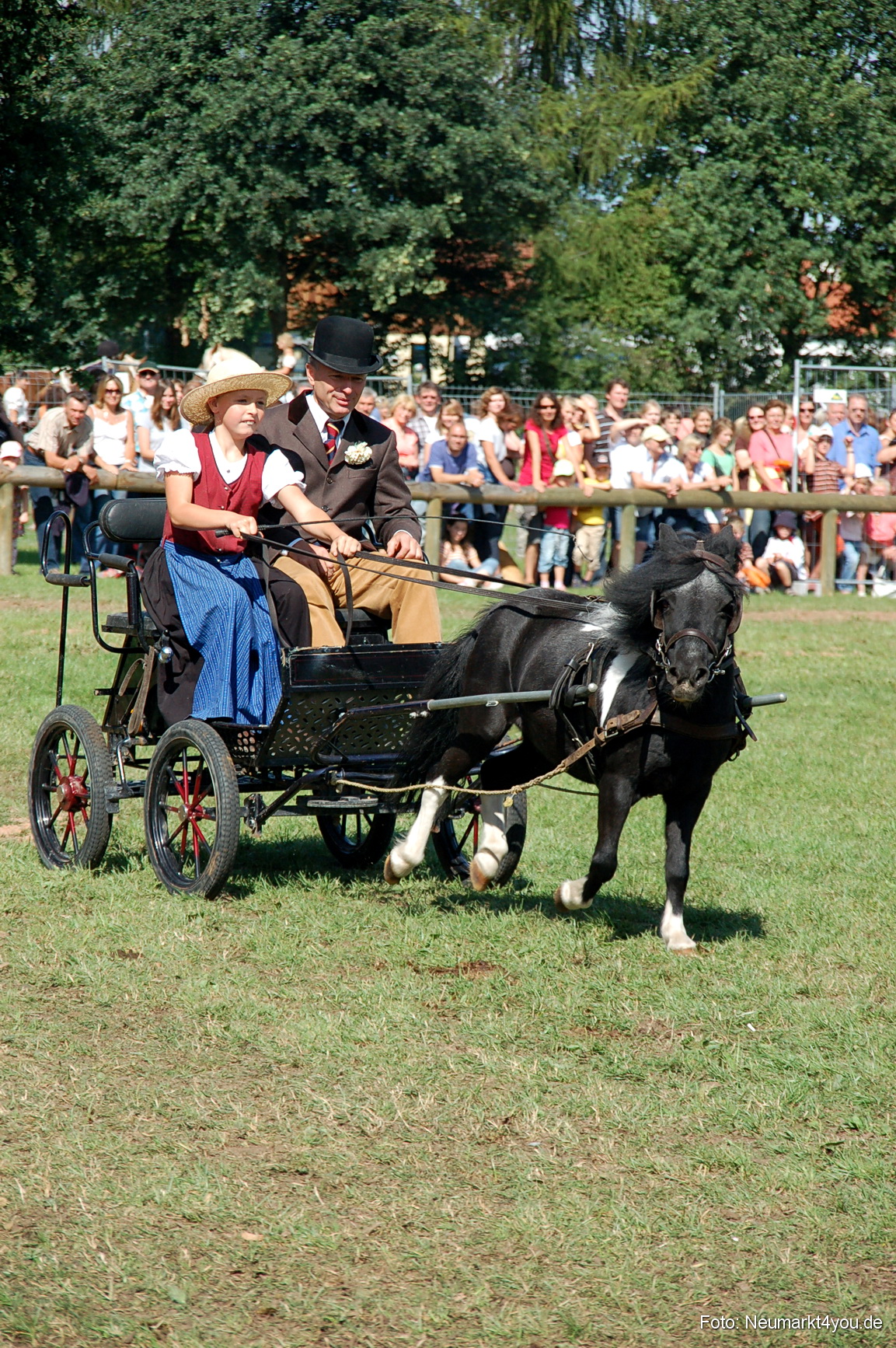 0193 Pferdeschau Neumarkt 180808
