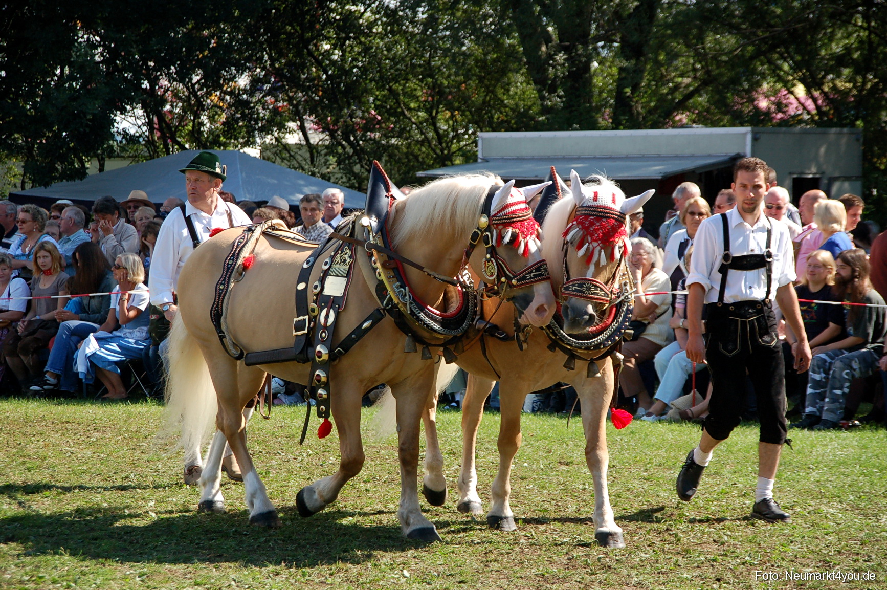 0194 Pferdeschau Neumarkt 180808