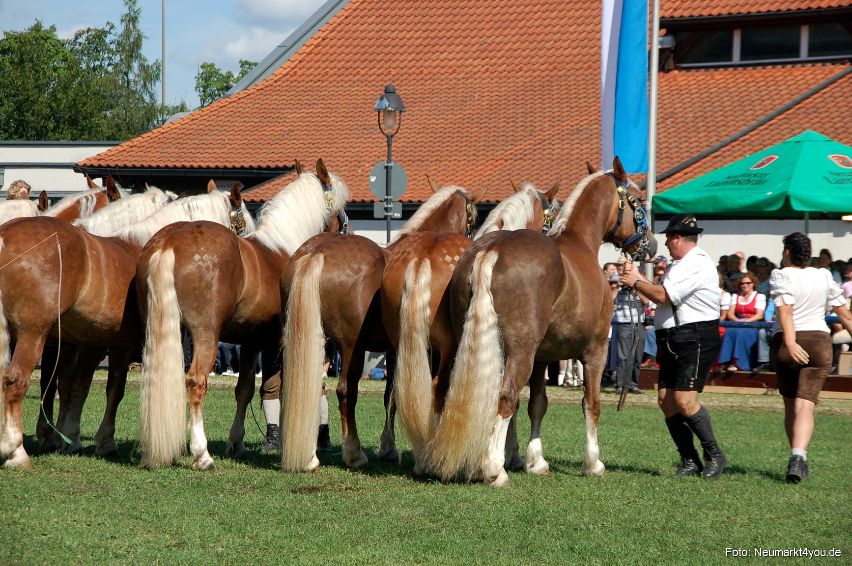 0196 Pferdeschau Neumarkt 180808