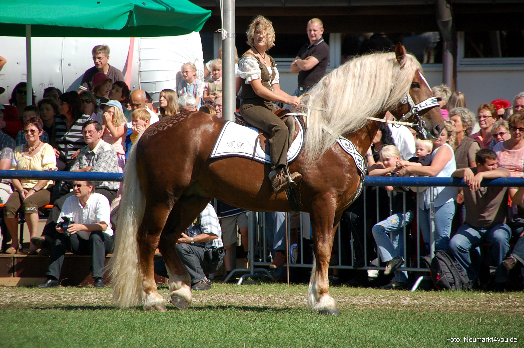 0197 Pferdeschau Neumarkt 180808