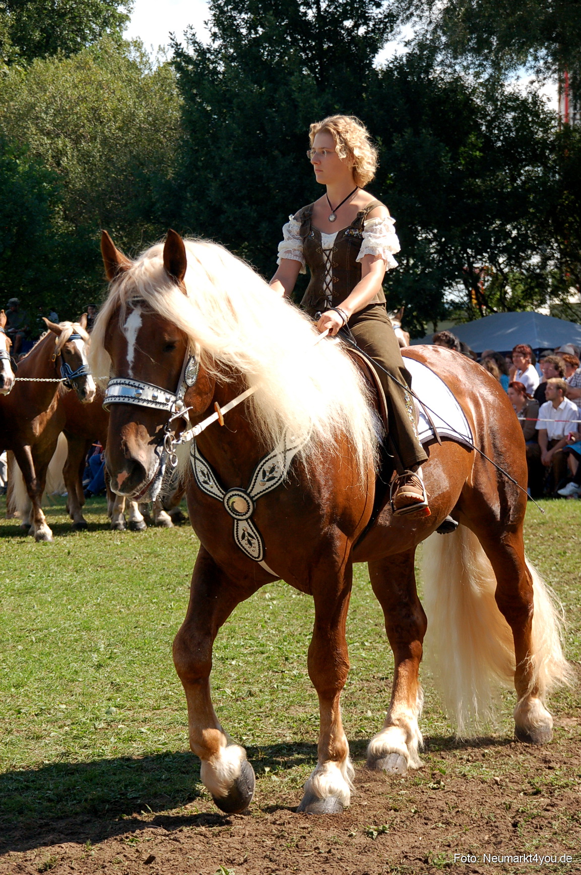 0198 Pferdeschau Neumarkt 180808