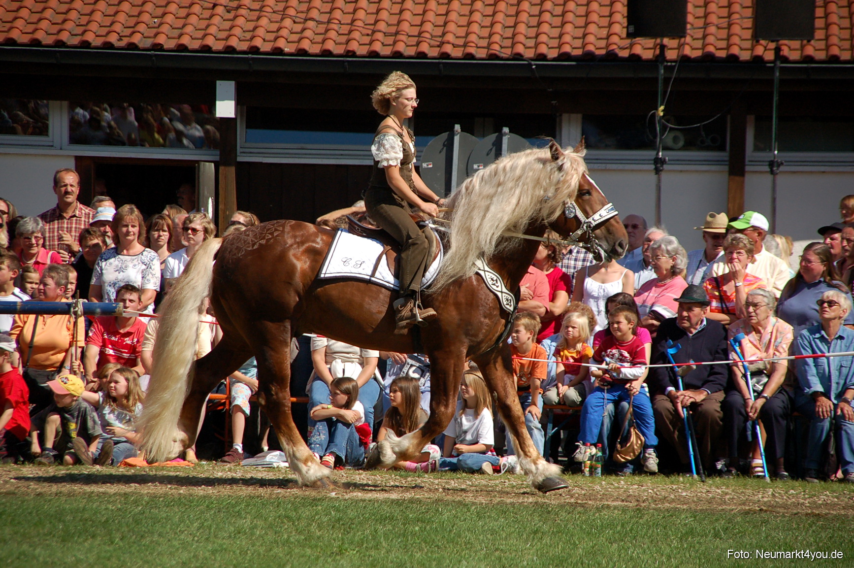 0202 Pferdeschau Neumarkt 180808