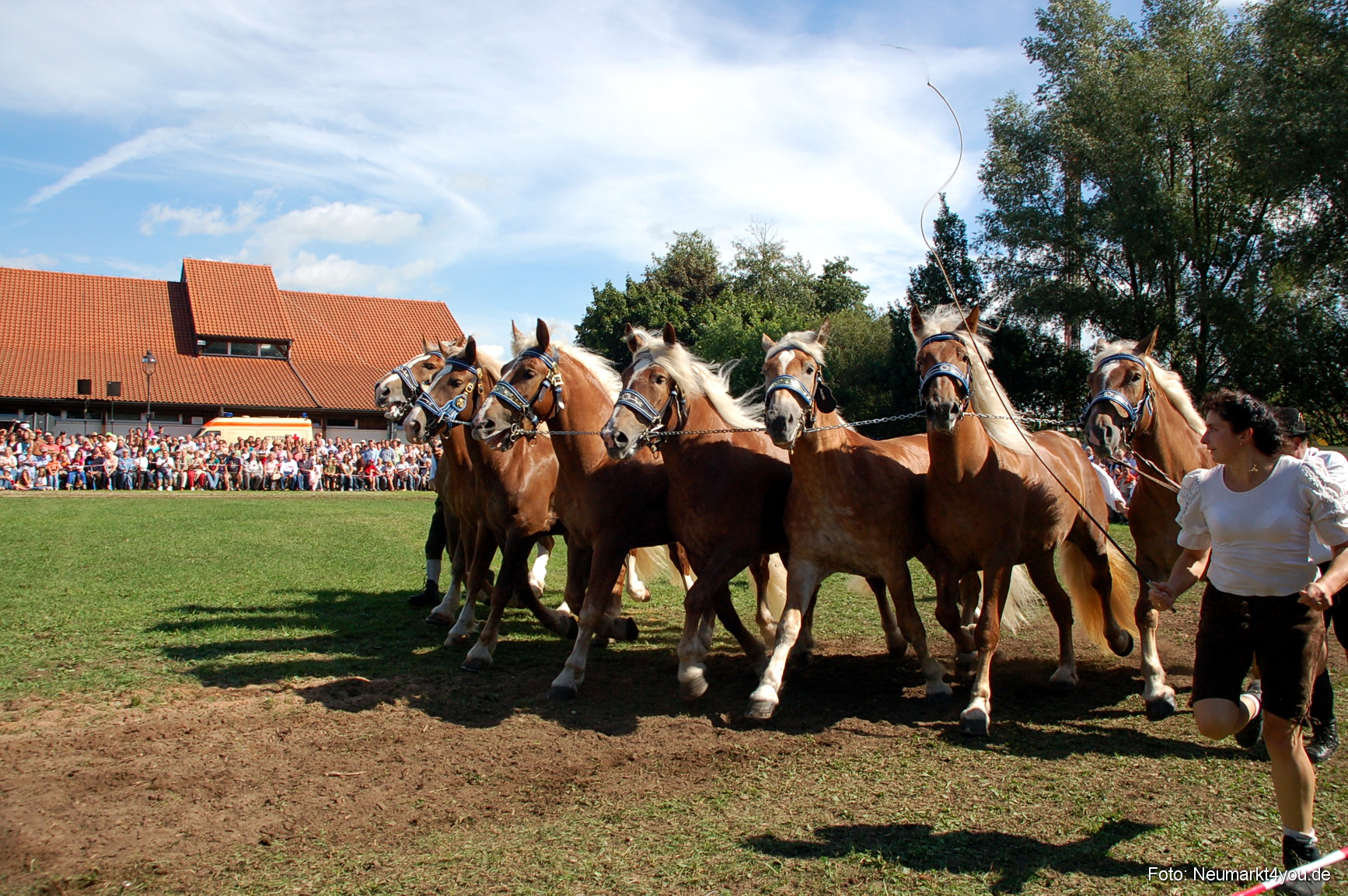 0204 Pferdeschau Neumarkt 180808