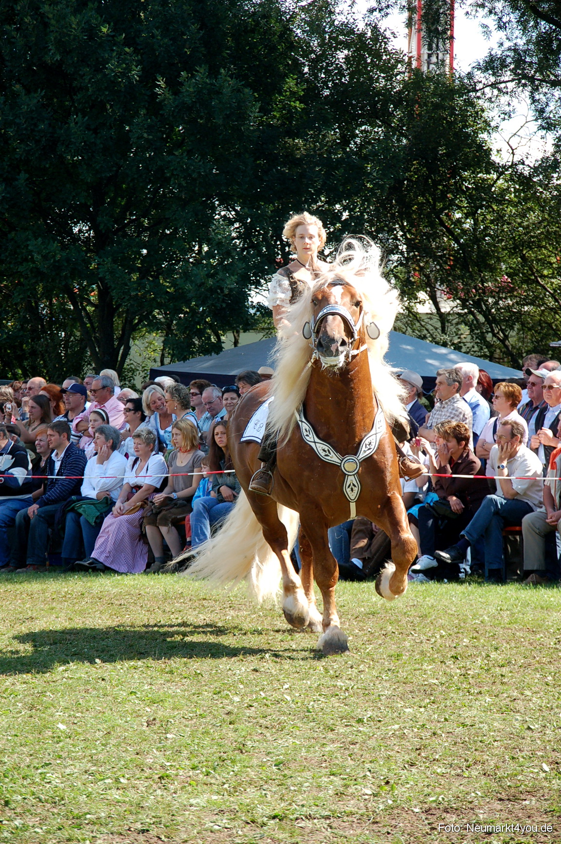 0206 Pferdeschau Neumarkt 180808