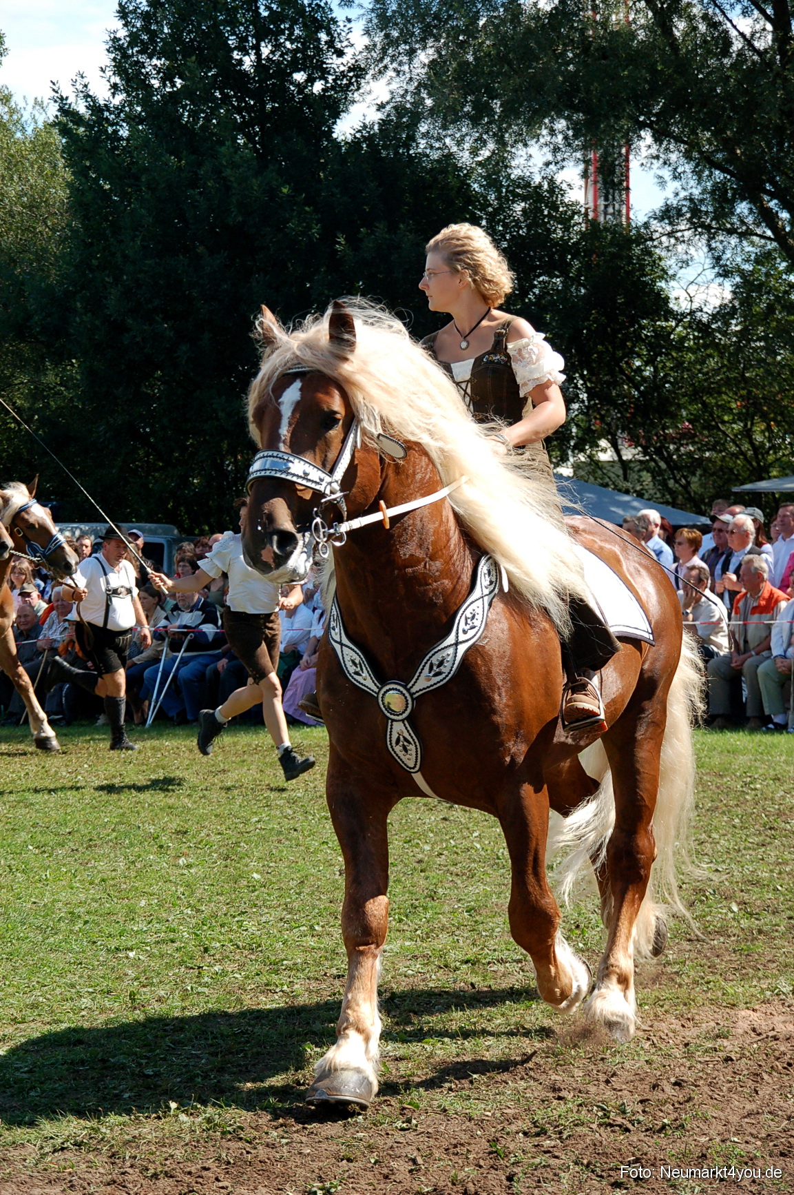 0207 Pferdeschau Neumarkt 180808