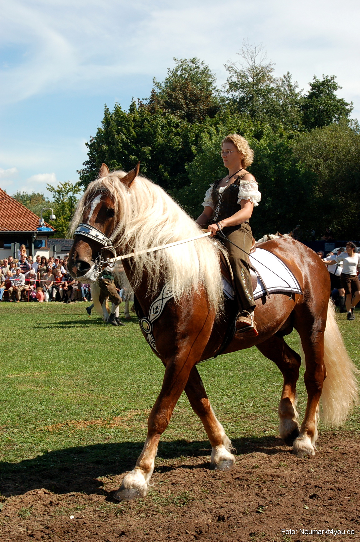 0210 Pferdeschau Neumarkt 180808