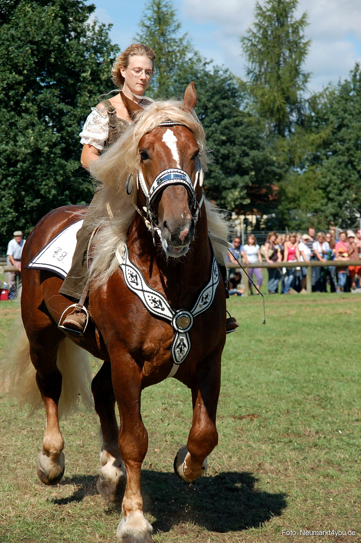 0213 Pferdeschau Neumarkt 180808