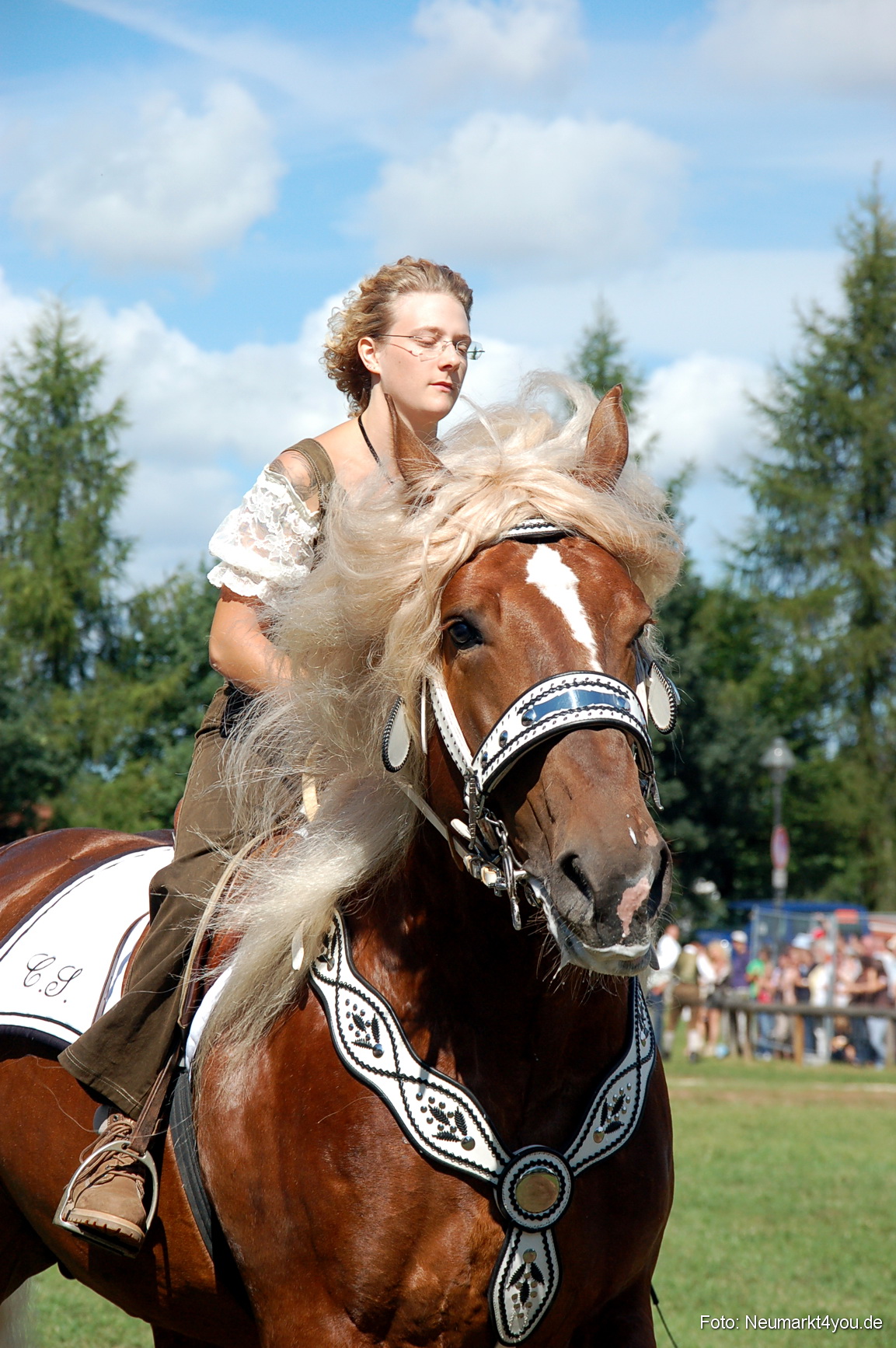 0214 Pferdeschau Neumarkt 180808