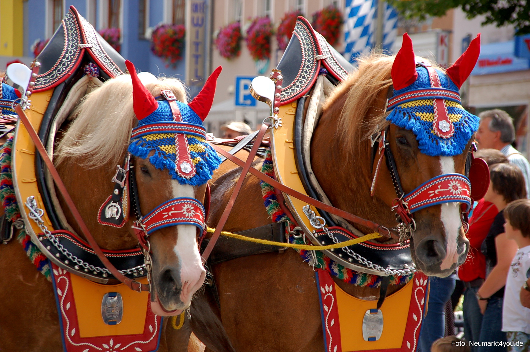 0058 Volksfestzug Neumarkt 100808