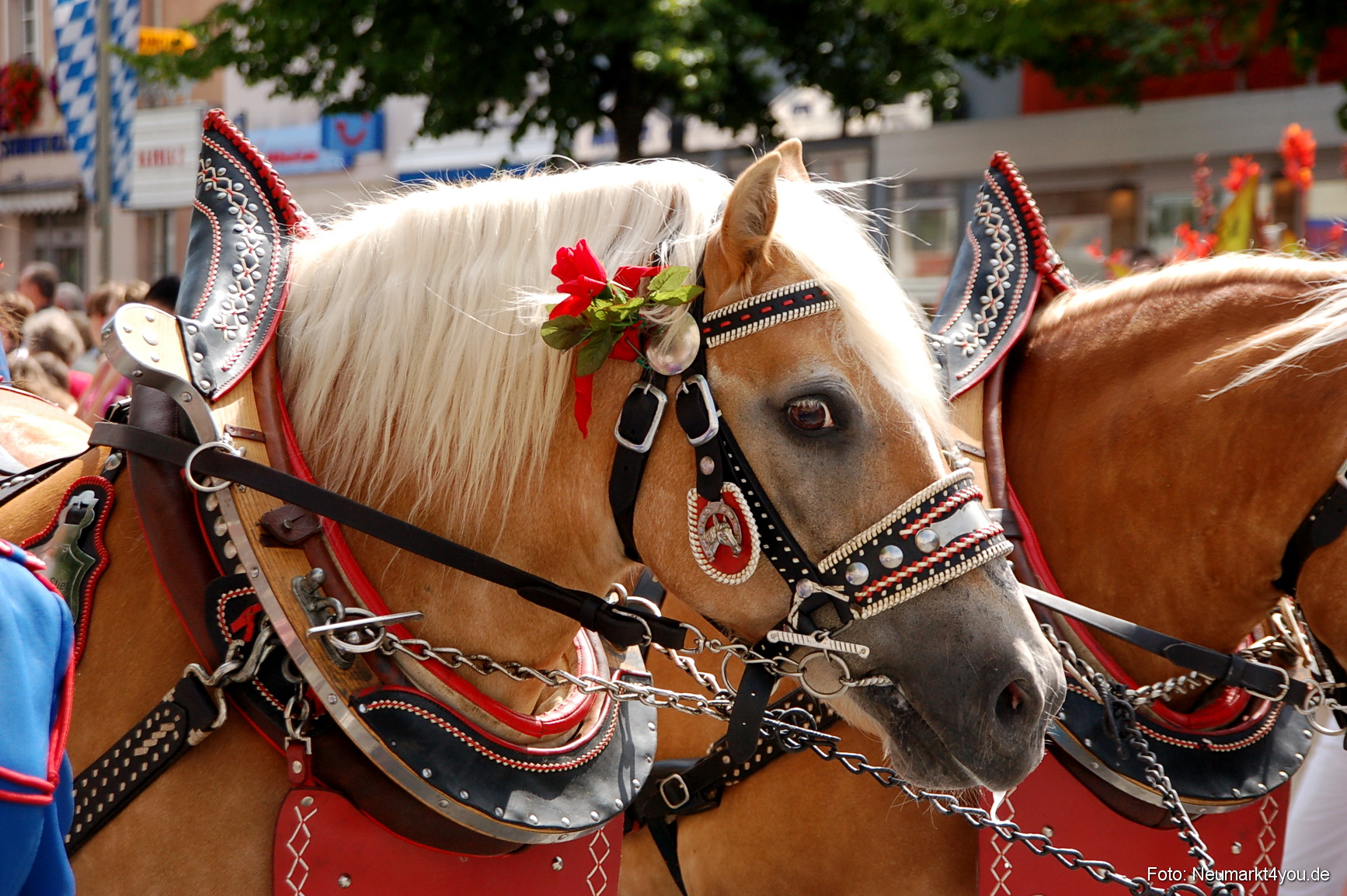 0106 Volksfestzug Neumarkt 100808