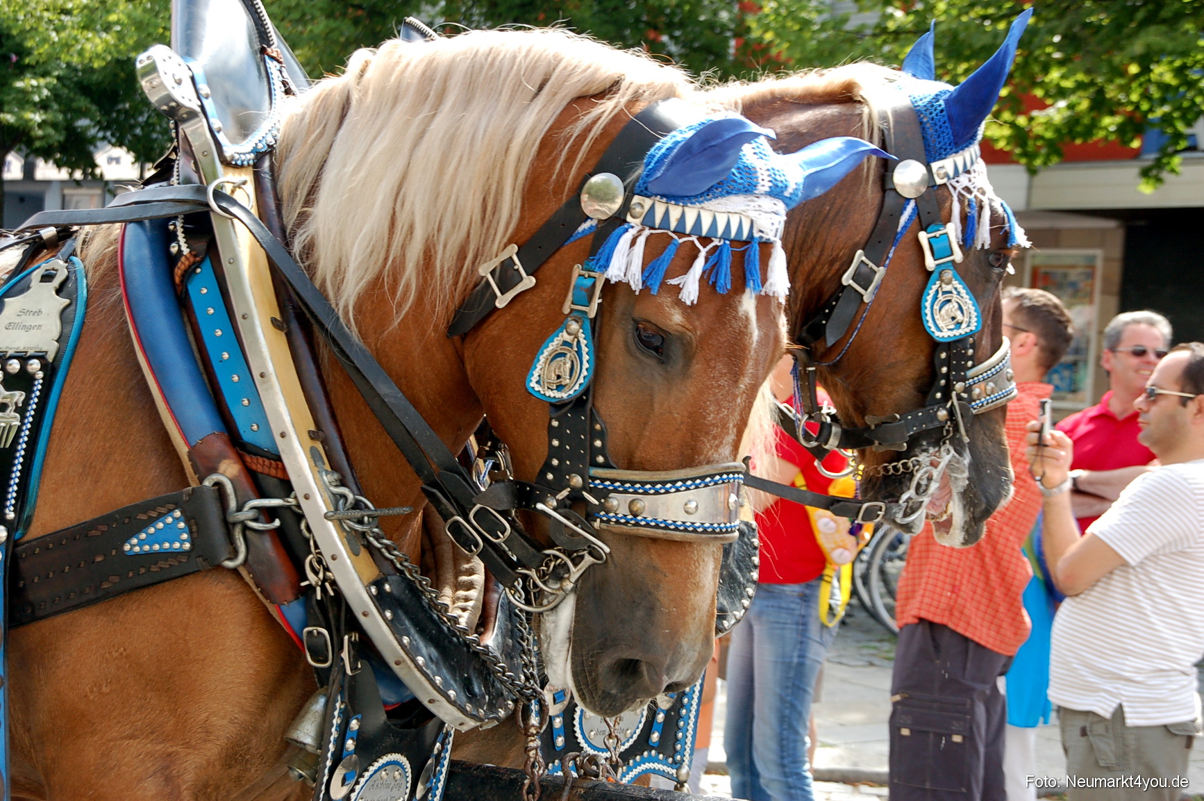 0132 Volksfestzug Neumarkt 100808