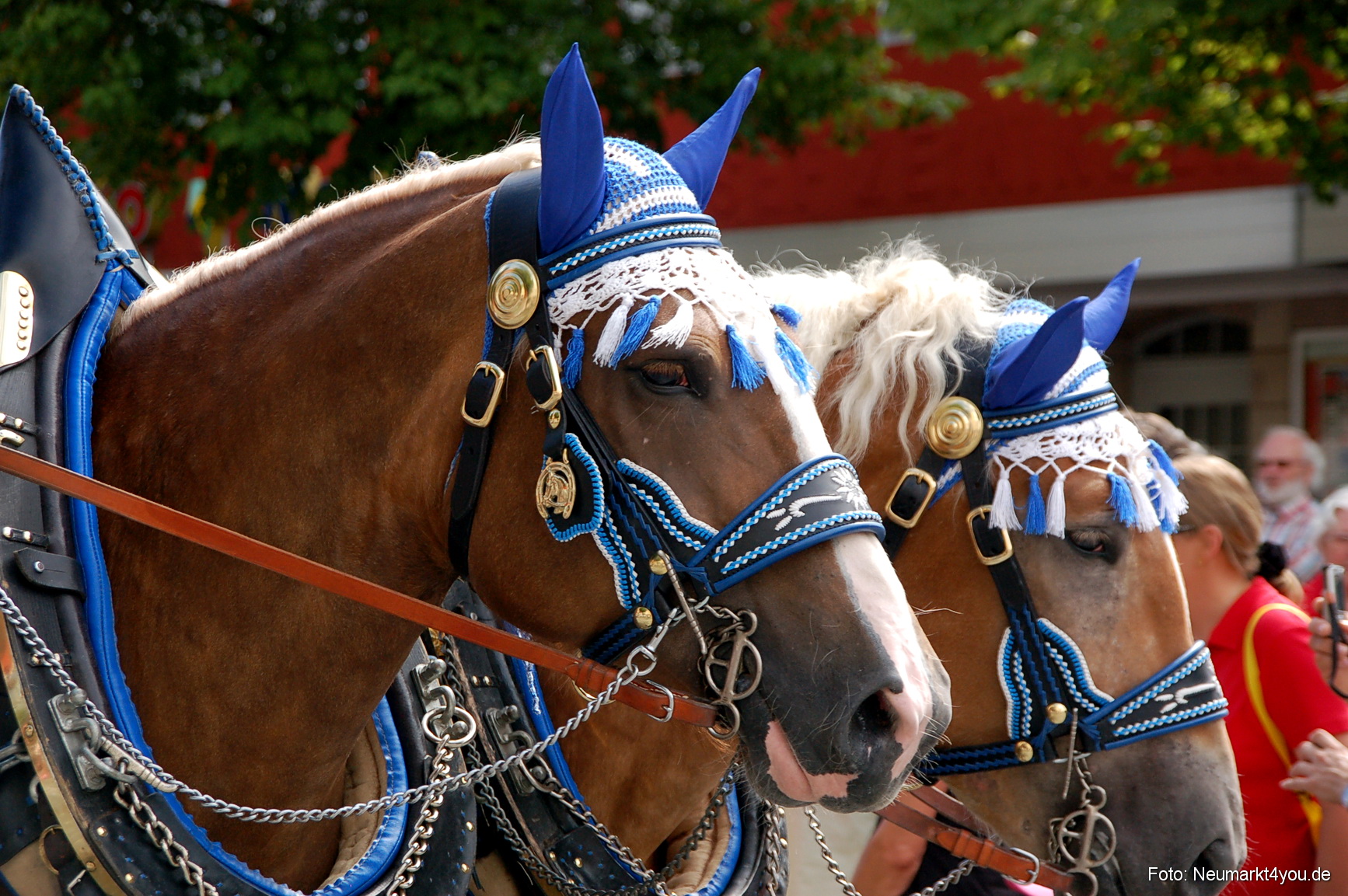 0275 Volksfestzug Neumarkt 100808
