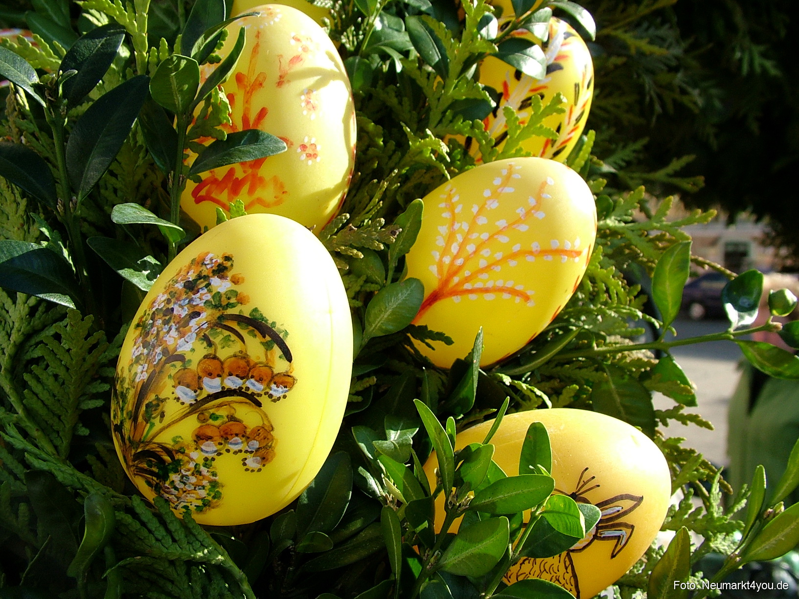 0042 Dietfurt 240308