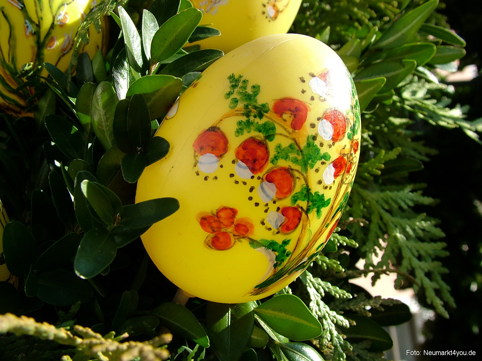 0045 Dietfurt 240308