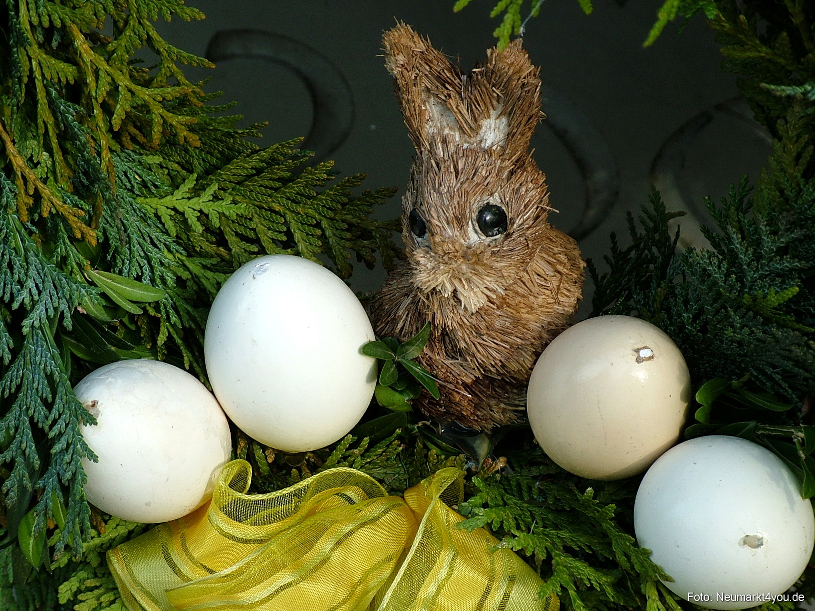 0052 Pollanten 240308