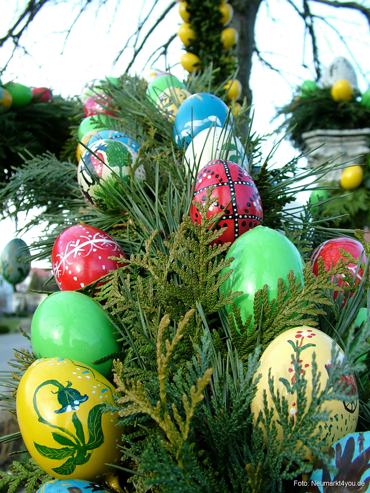 0056 Pollanten 240308