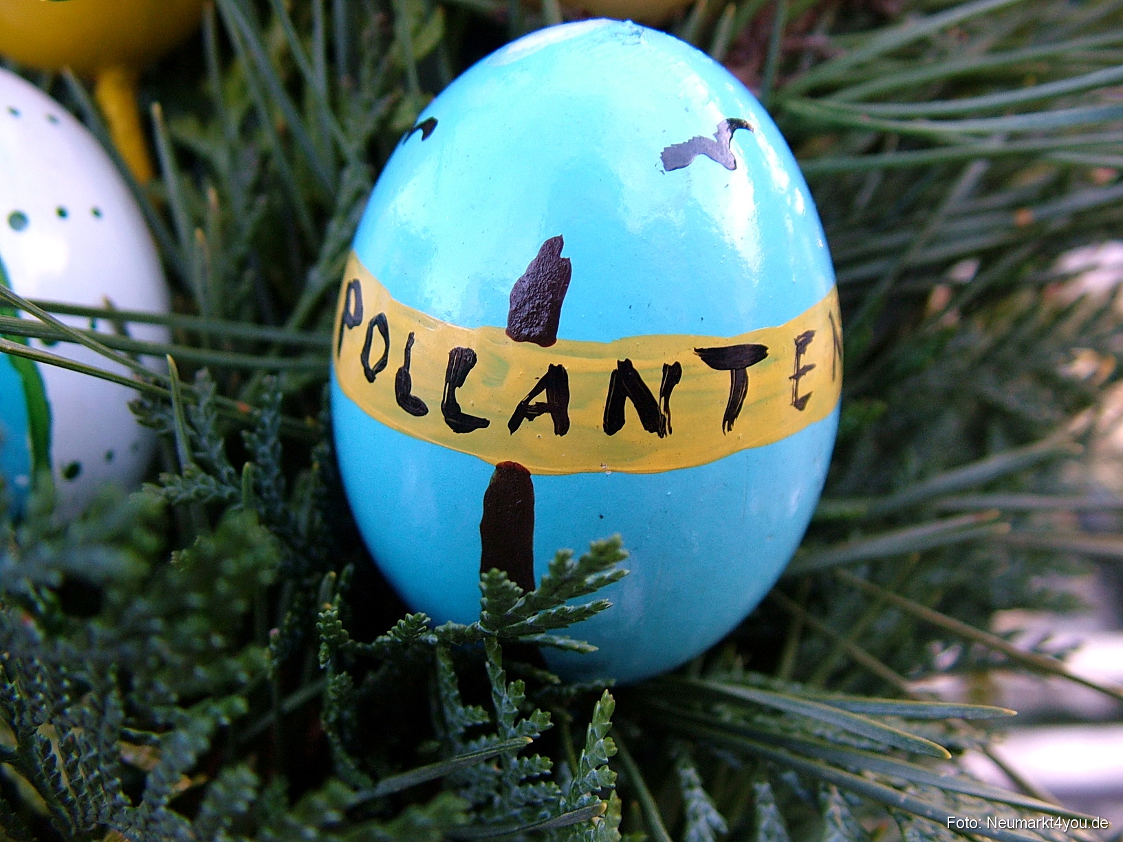 0057 Pollanten 240308