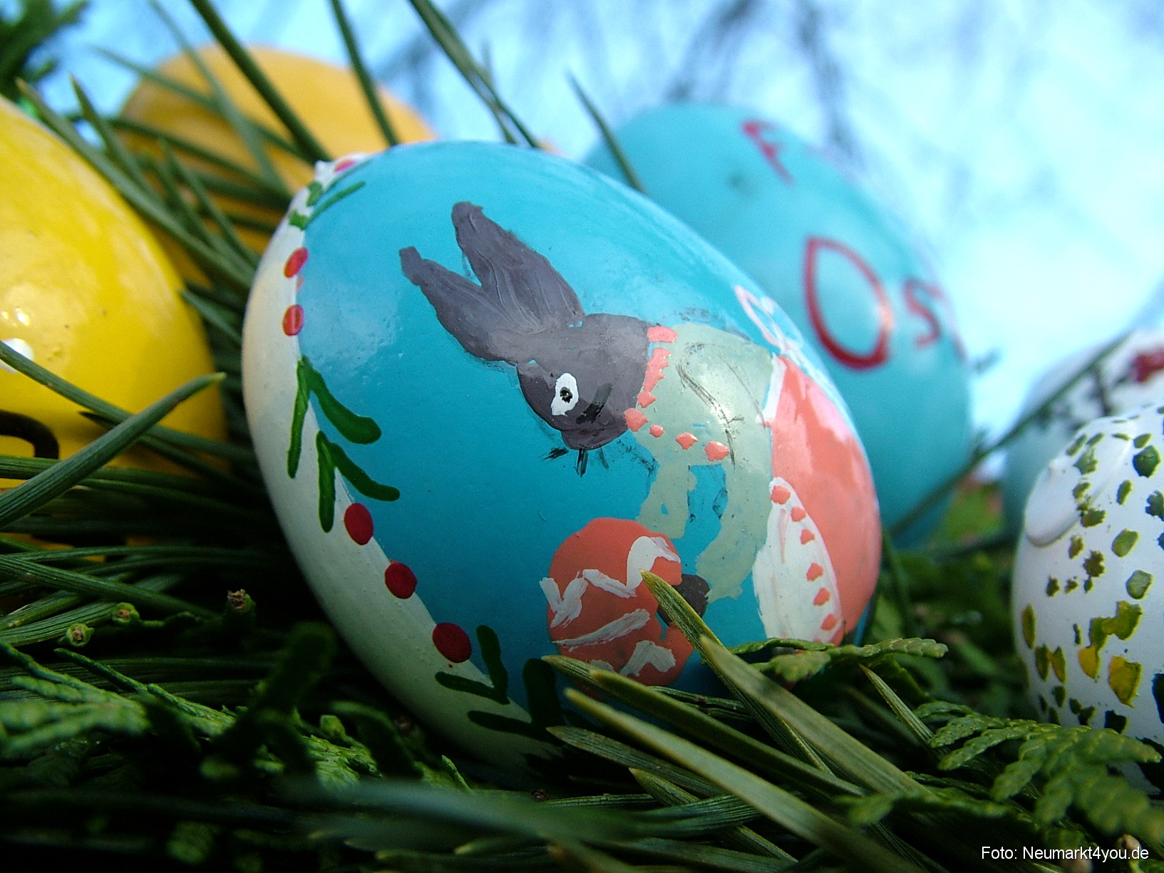 0059 Pollanten 240308