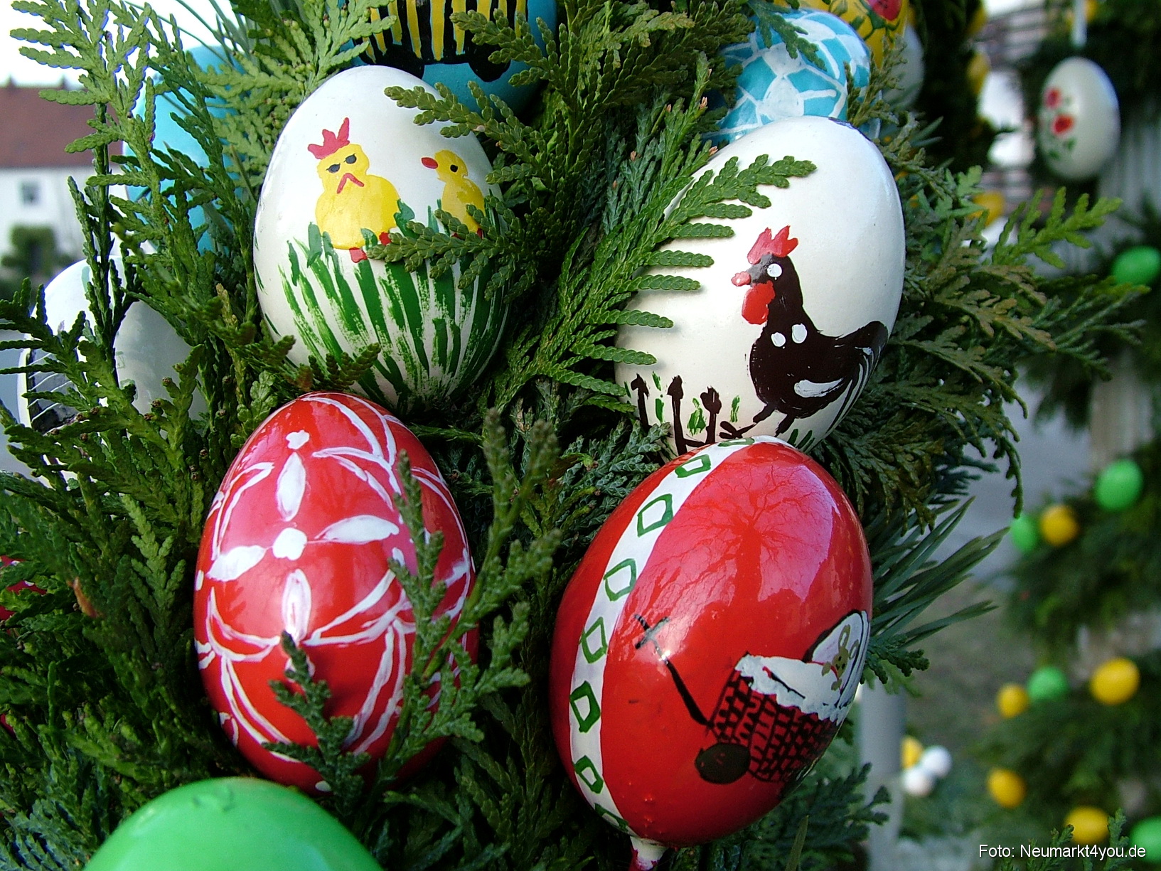 0060 Pollanten 240308