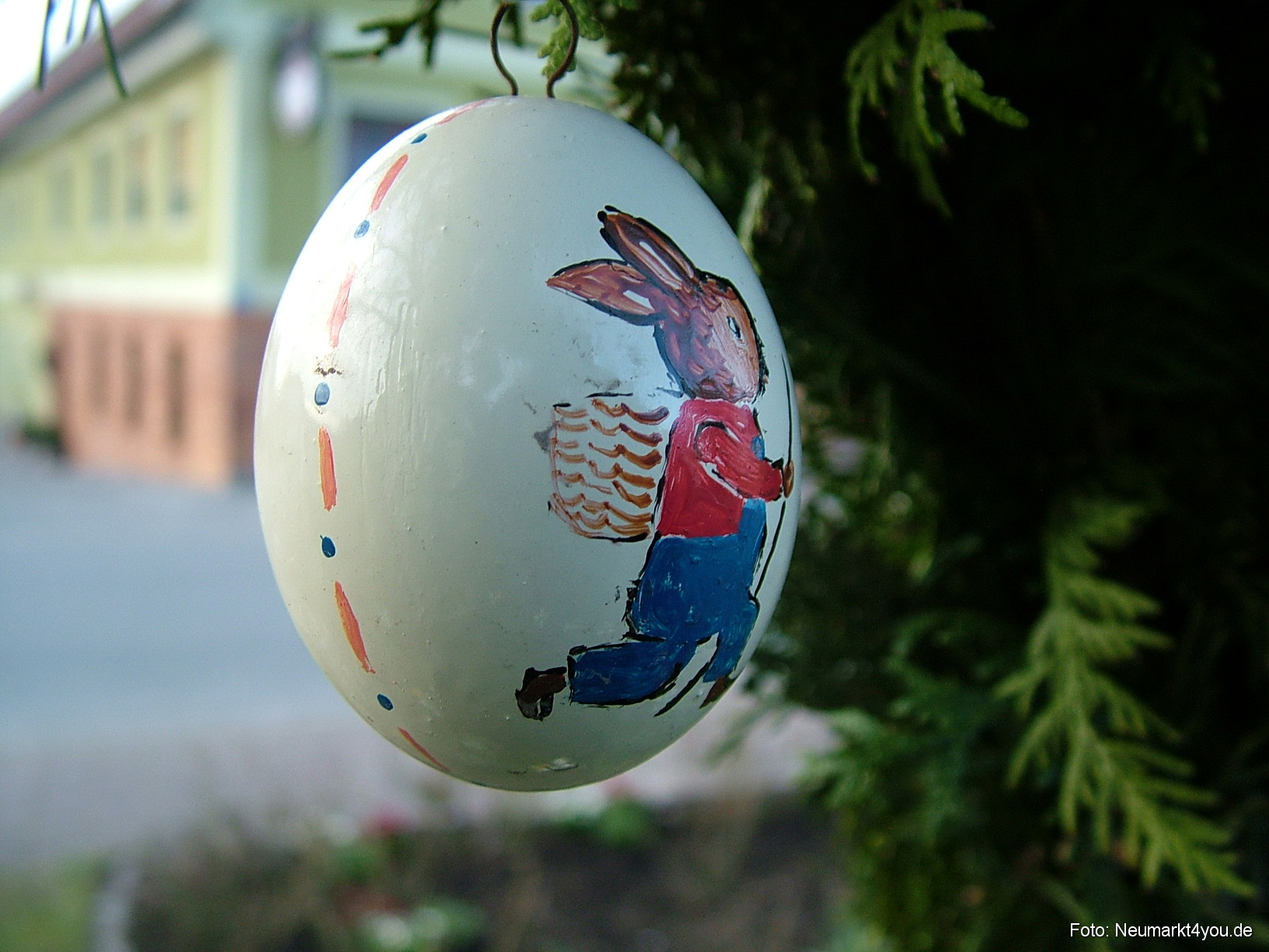 0063 Pollanten 240308