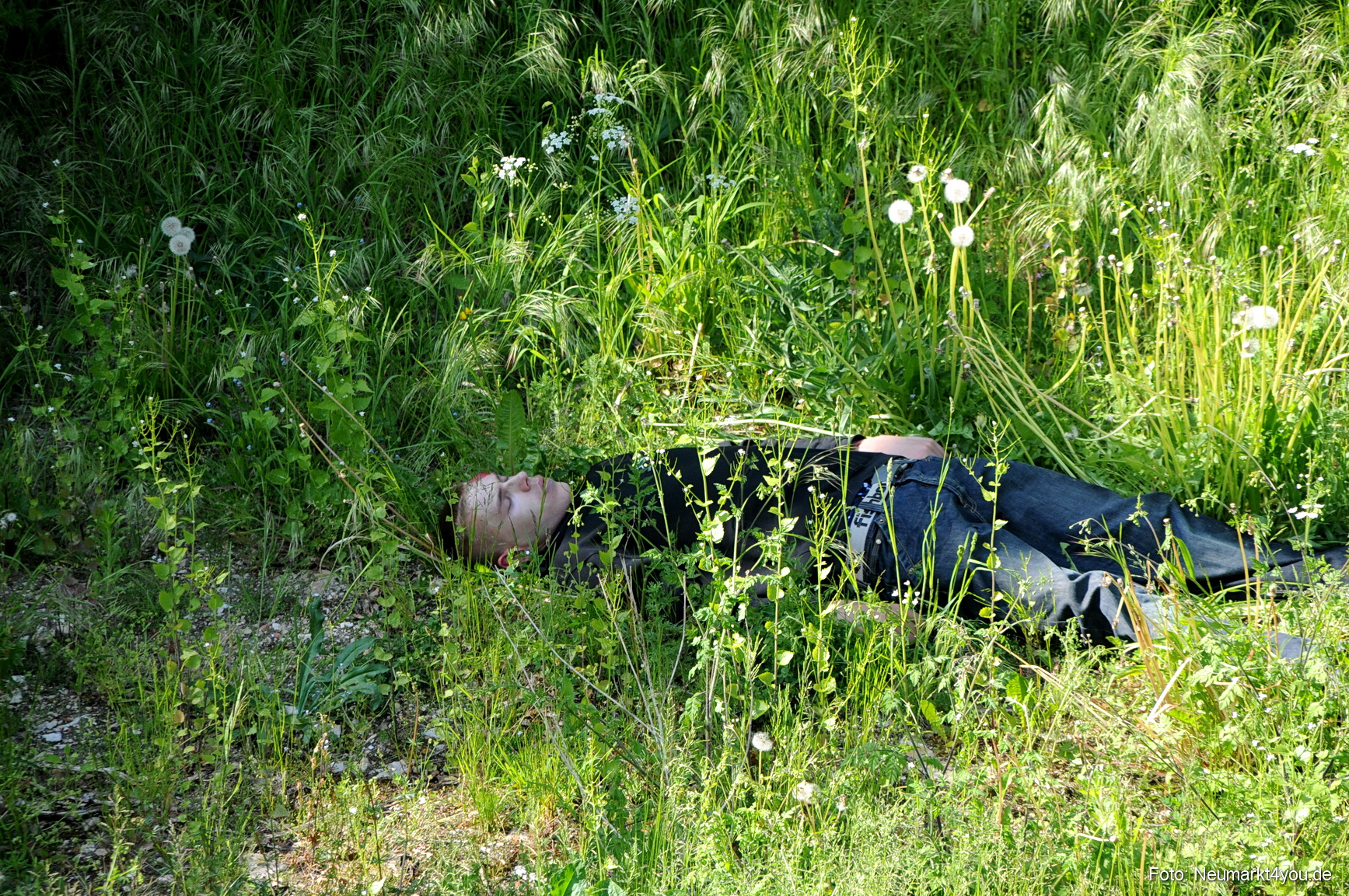 Rettungshunde Uebung Neumarkt 240508 34