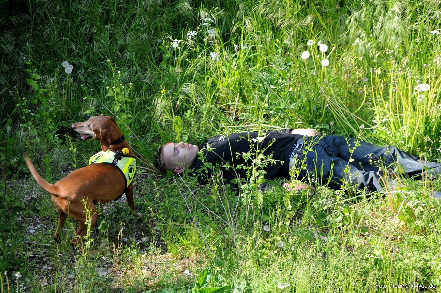 Rettungshunde Uebung Neumarkt 240508 35