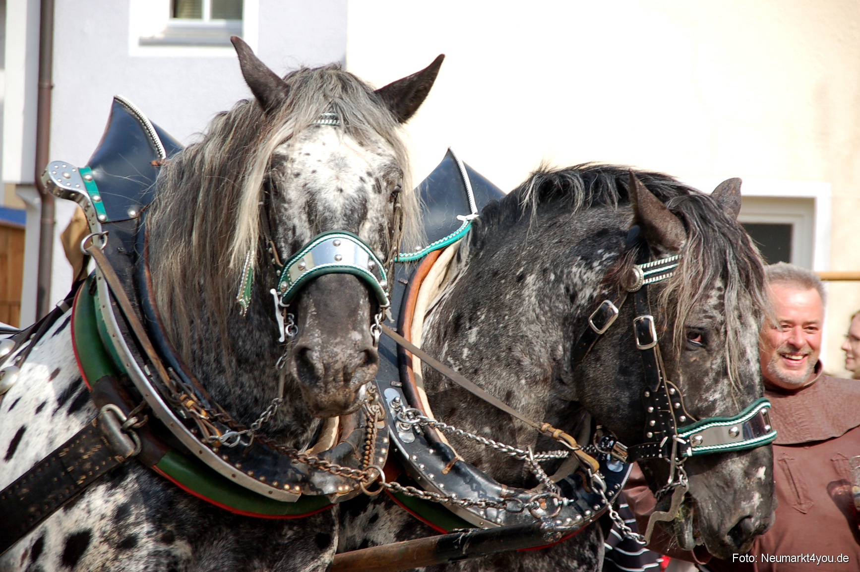 0090 Tillyfest Breitenbrunn 140908