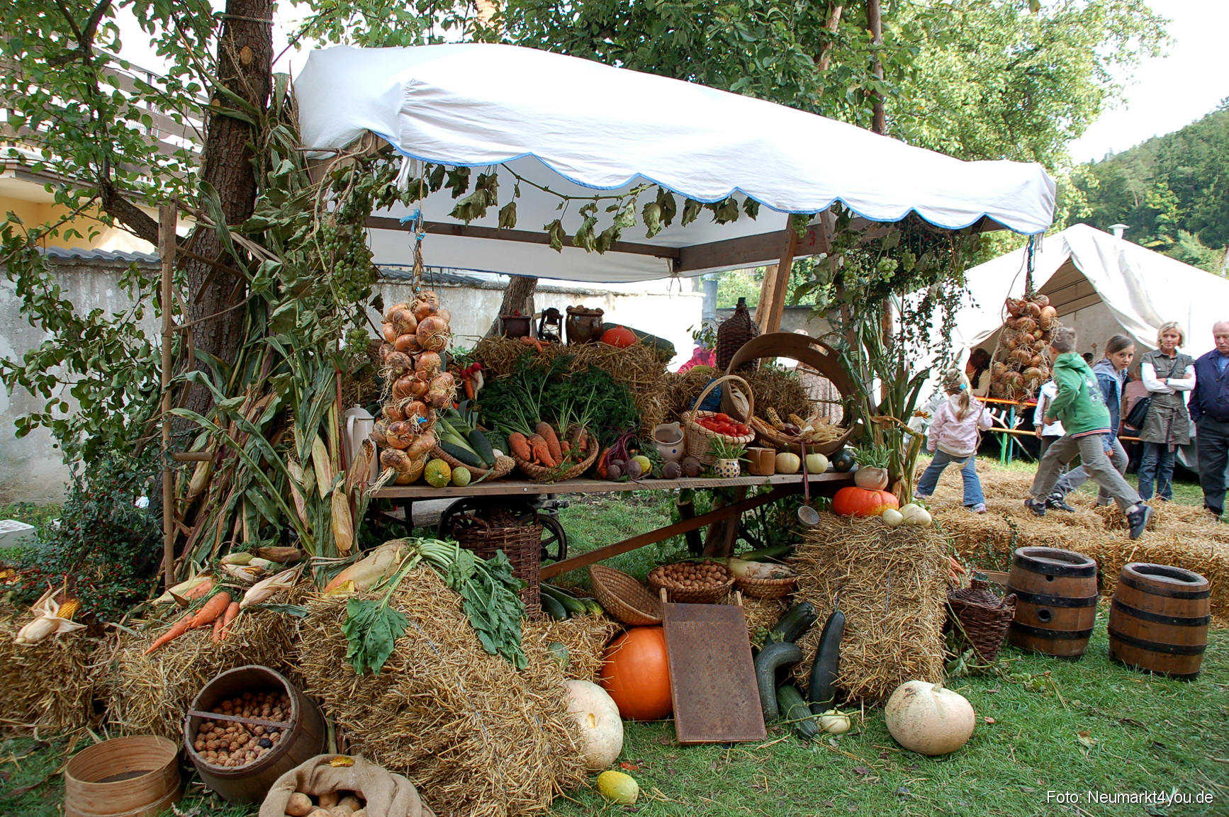 0136 Tillyfest Breitenbrunn 140908