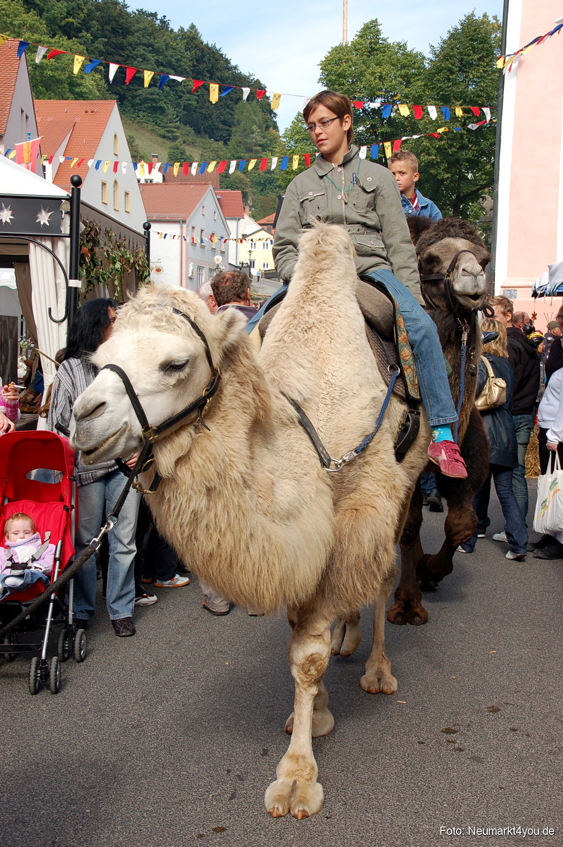 0151 Tillyfest Breitenbrunn 140908