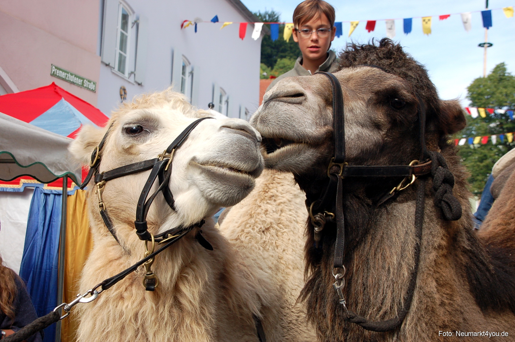 0152 Tillyfest Breitenbrunn 140908
