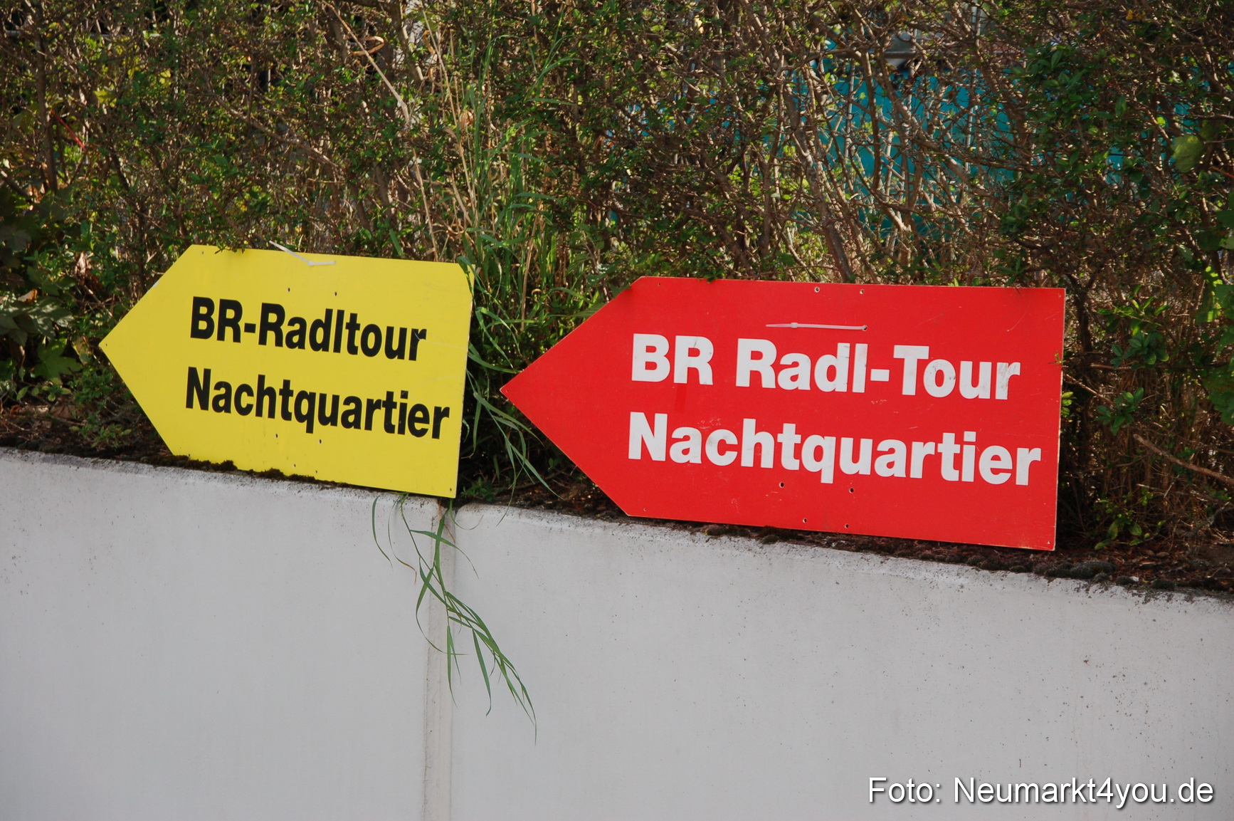 0055 BR Radltour Neumarkt 080809