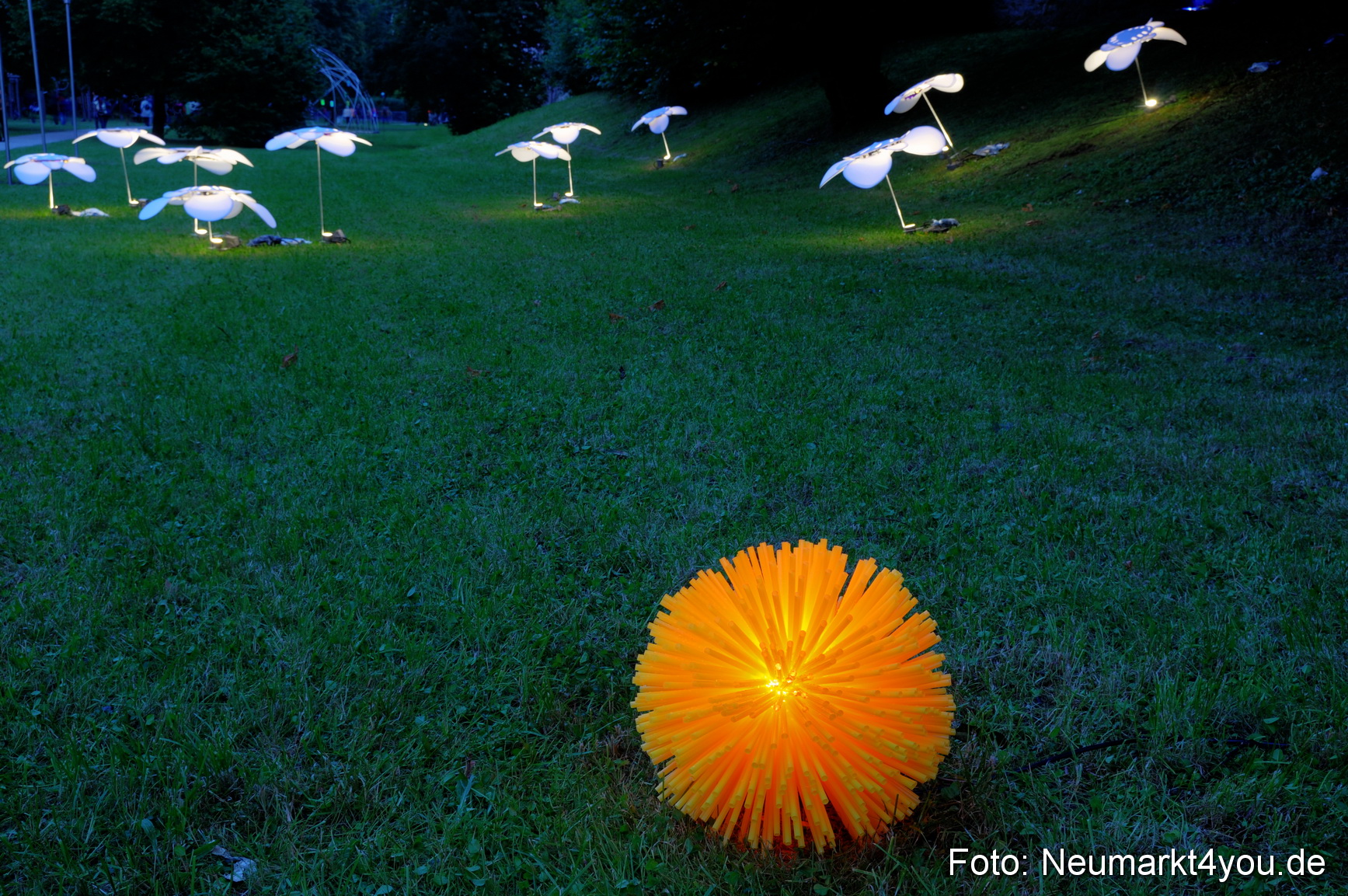 0003 Berchinale 190609