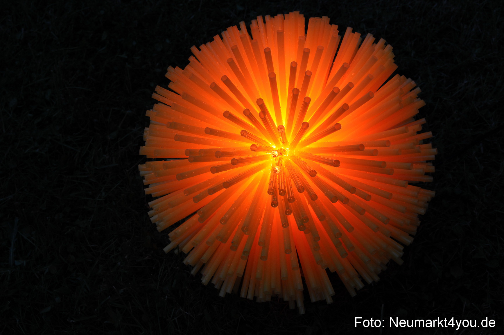 0005 Berchinale 190609