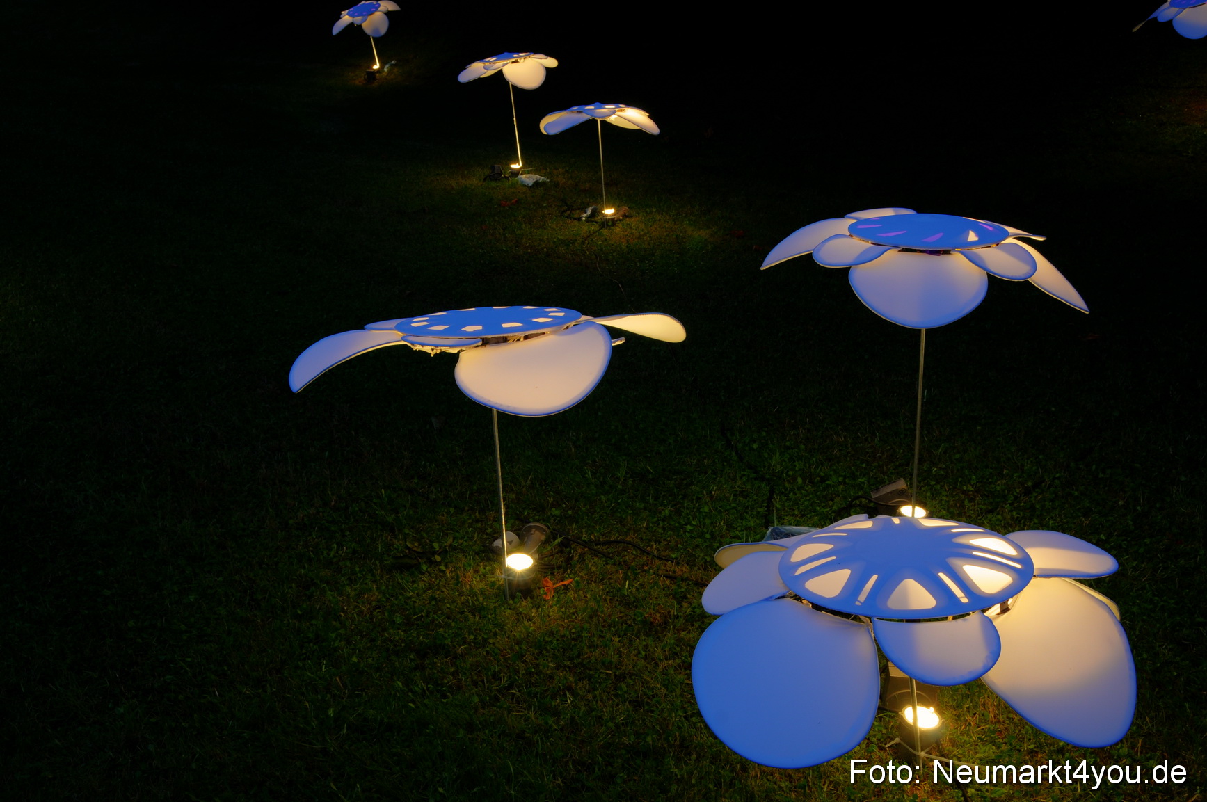 0006 Berchinale 190609