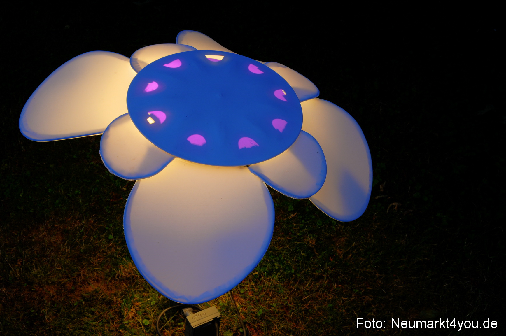 0007 Berchinale 190609