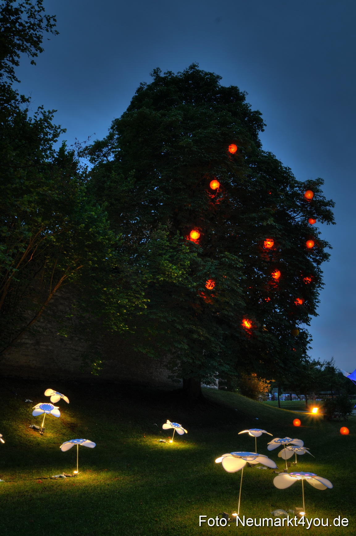 0008 Berchinale 190609