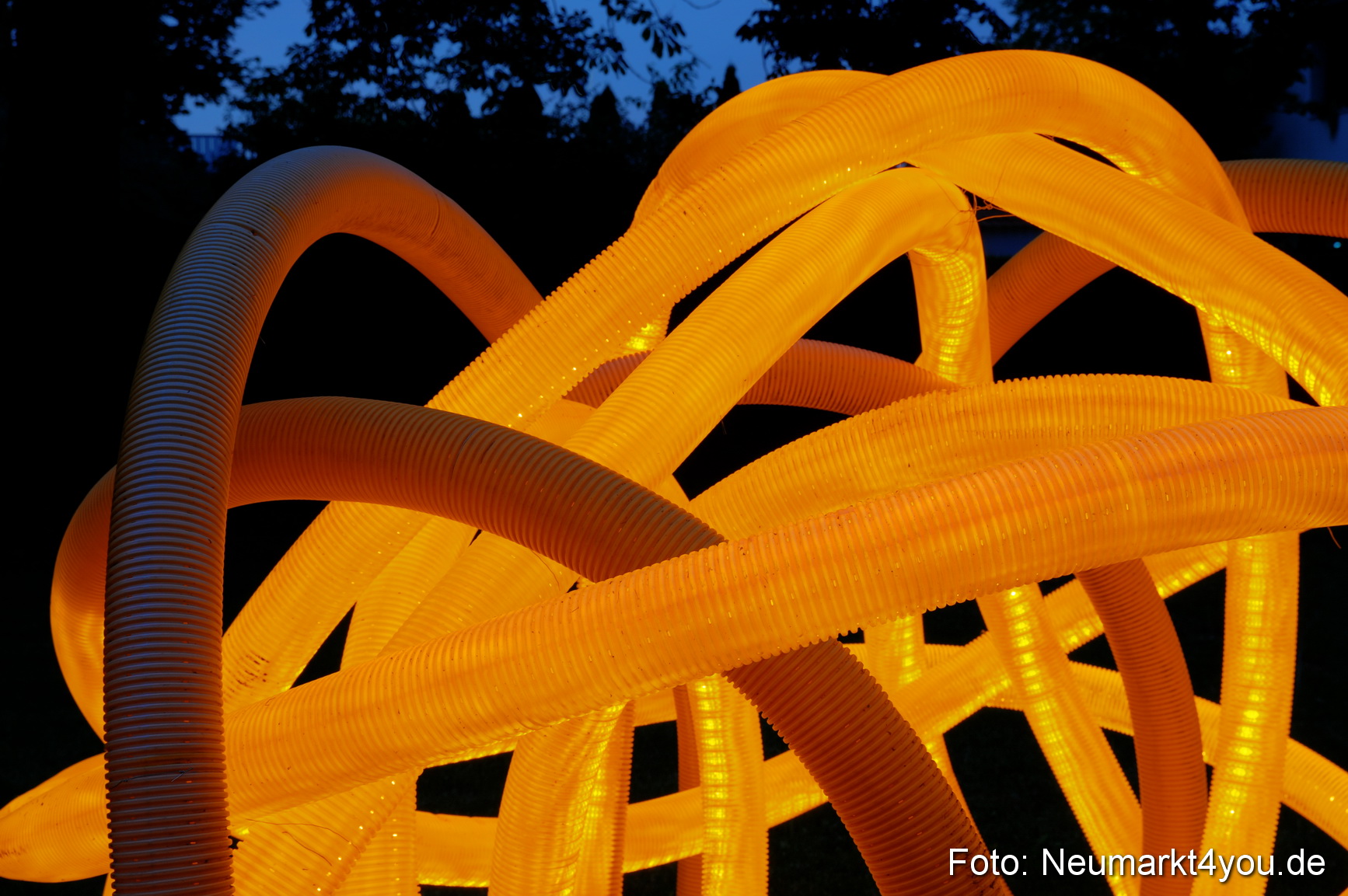 0010 Berchinale 190609