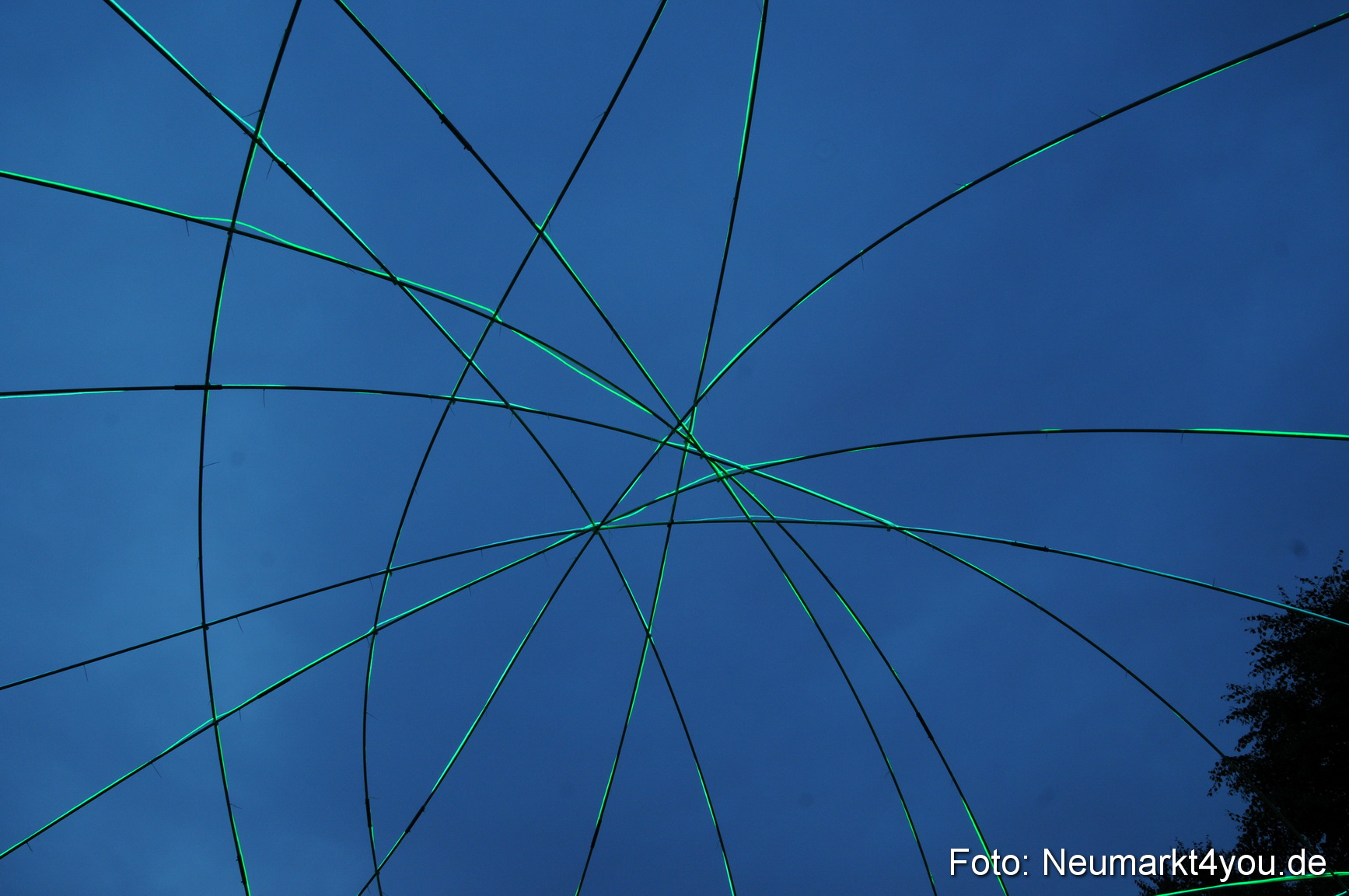 0016 Berchinale 190609