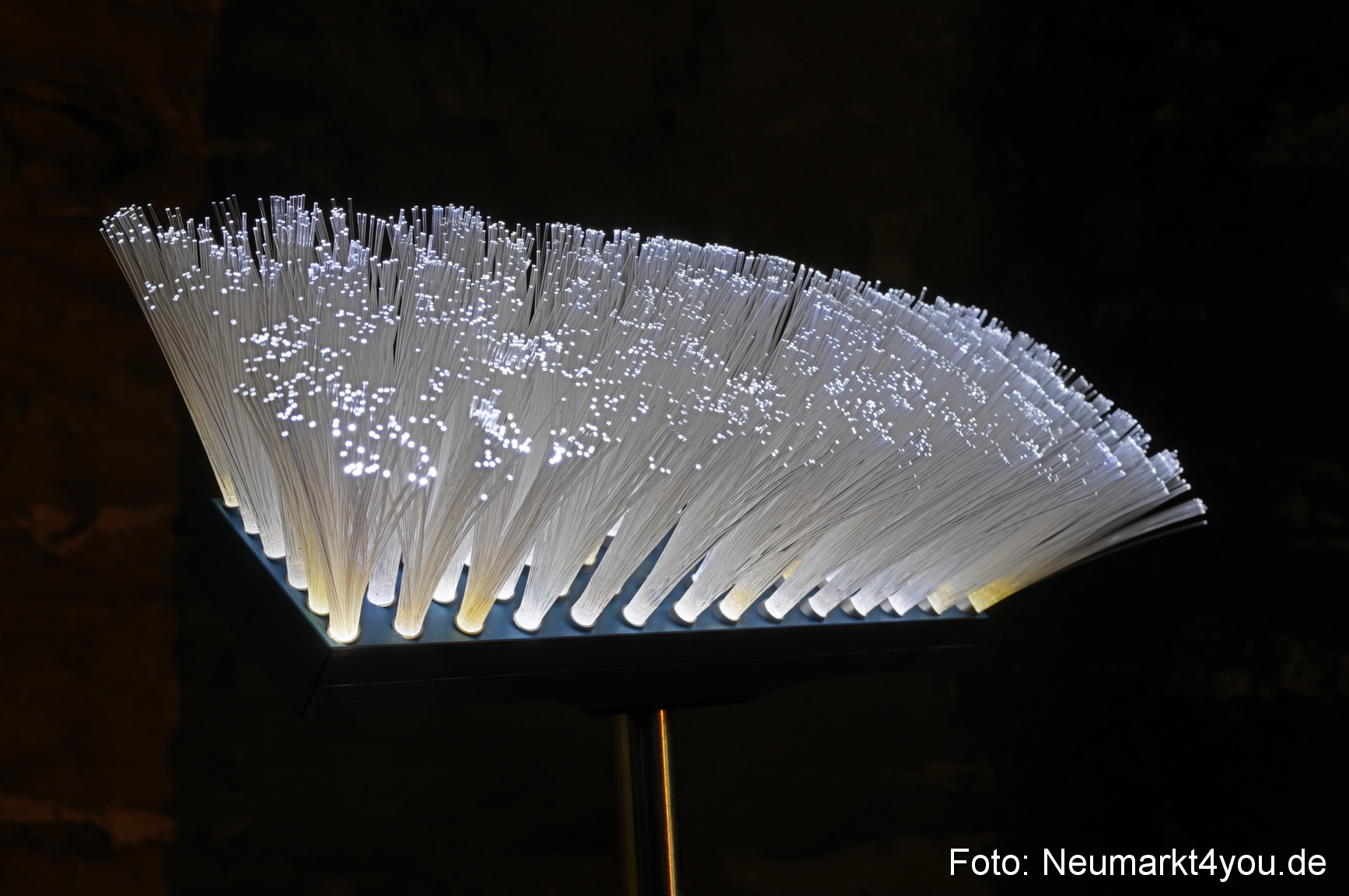 0022 Berchinale 190609