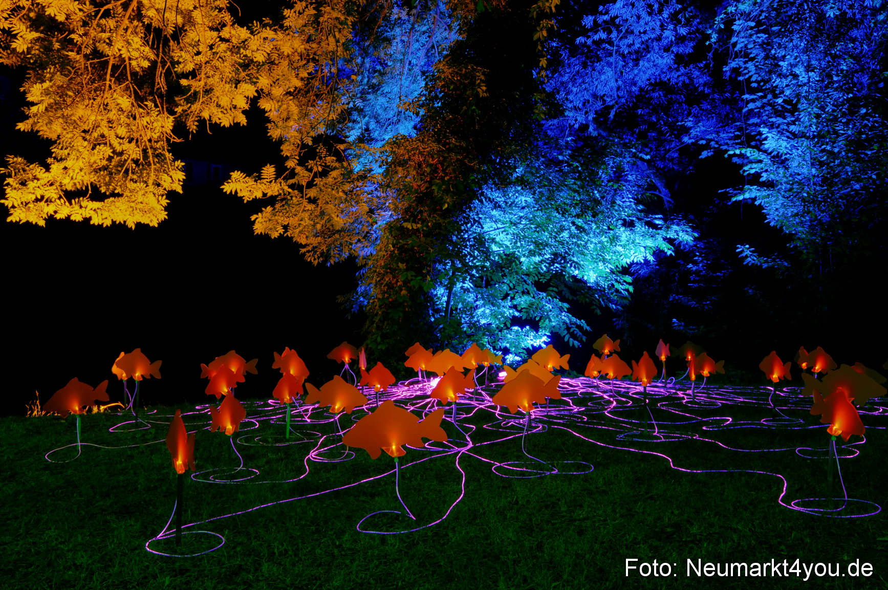 0036 Berchinale 190609