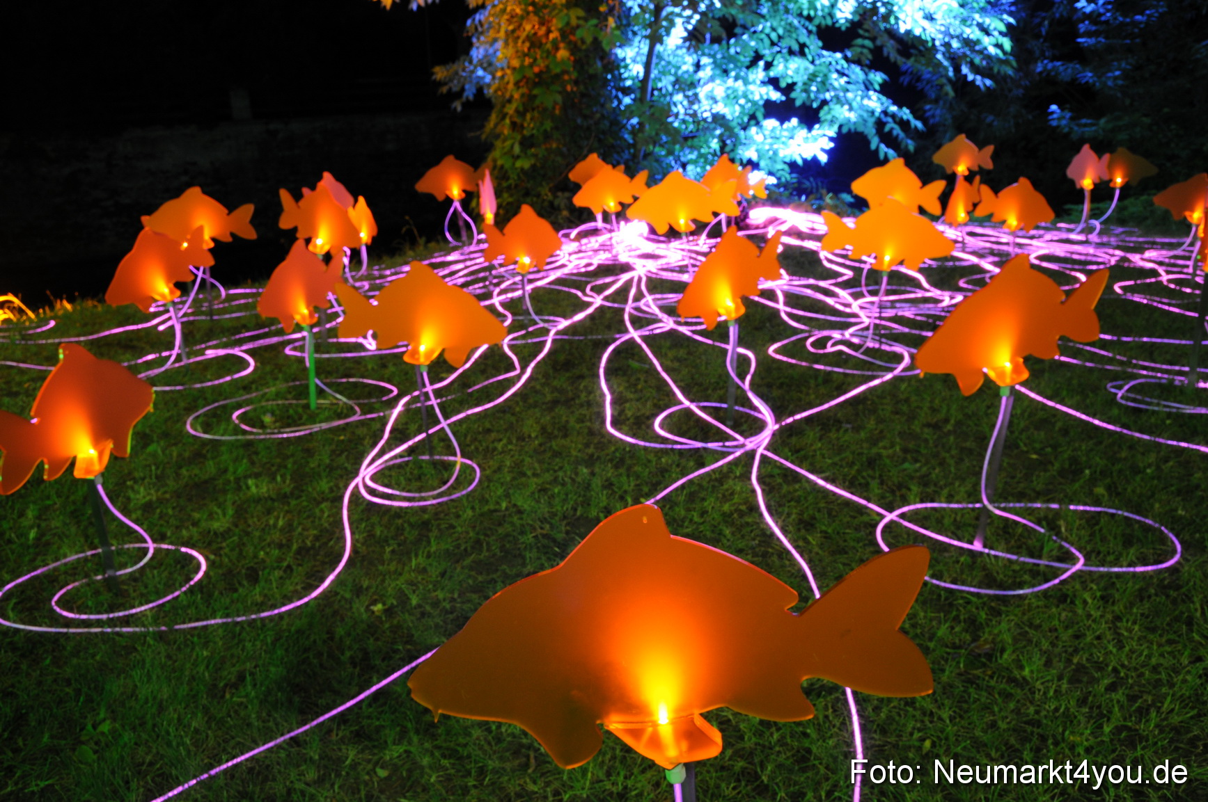 0037 Berchinale 190609